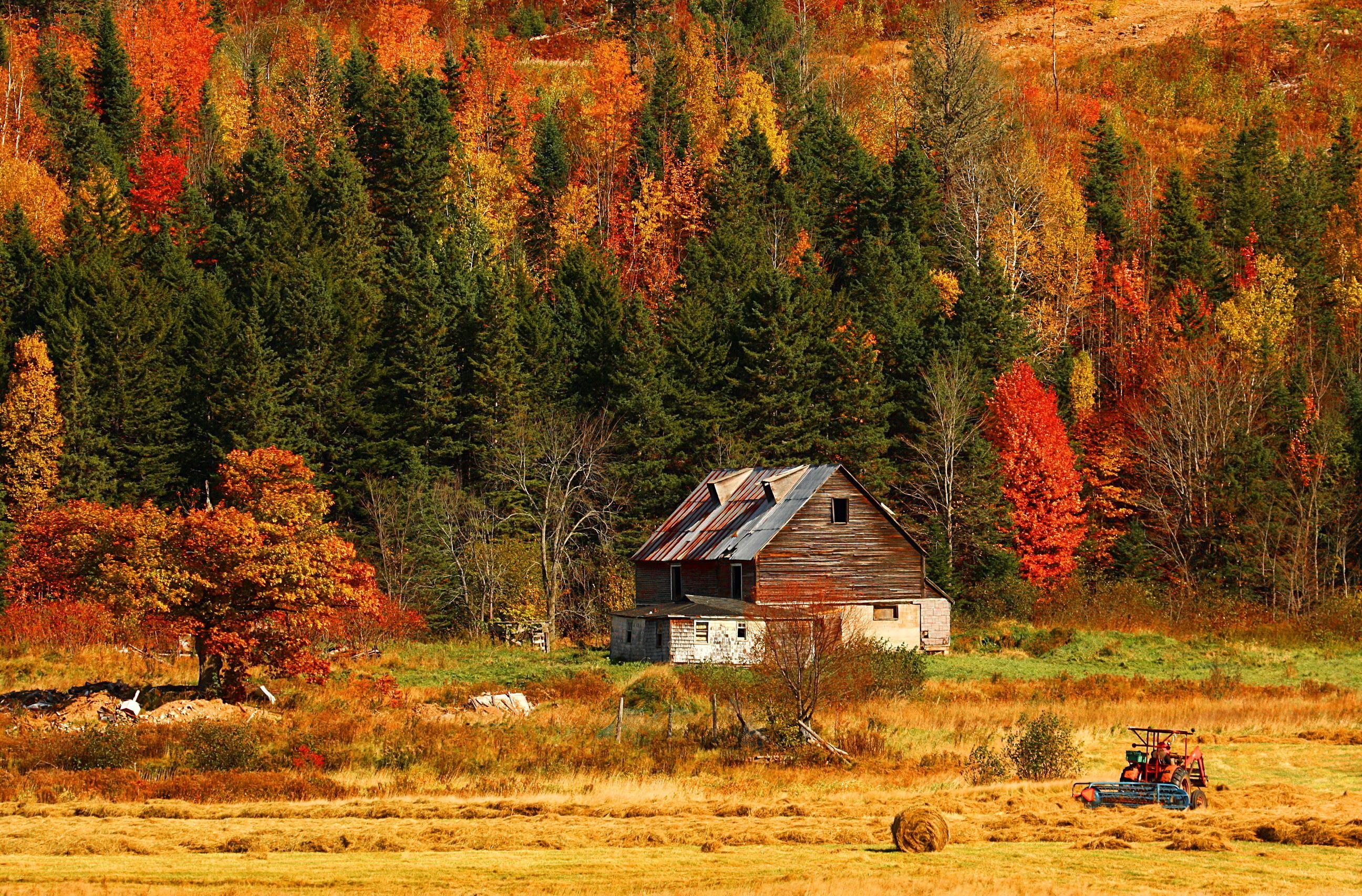 Hut in autumn mountain HD desktop wallpaper, Widescreen