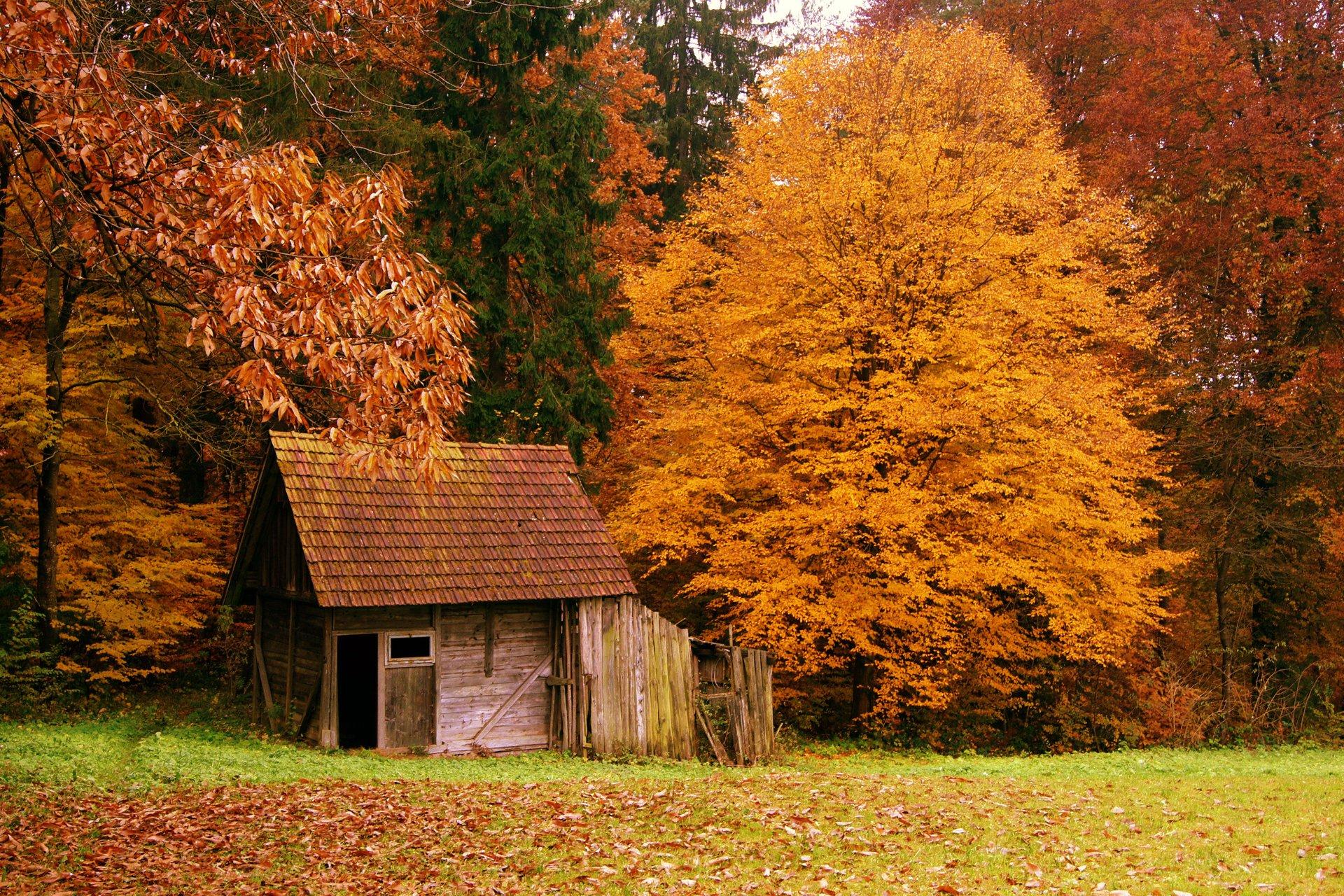 Autumn fall trees cottage foliage wallpaperx1280