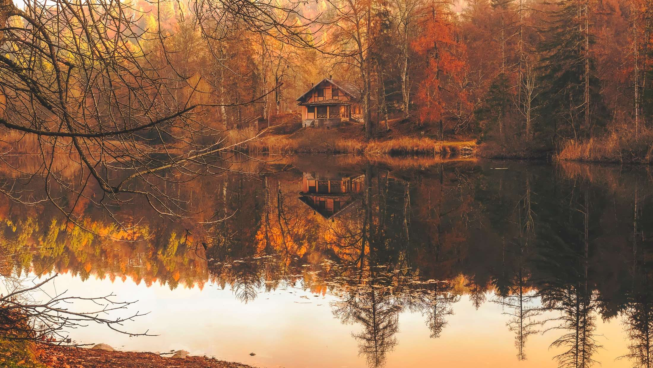 autumn, beautiful, cabin, cottage, country, fall