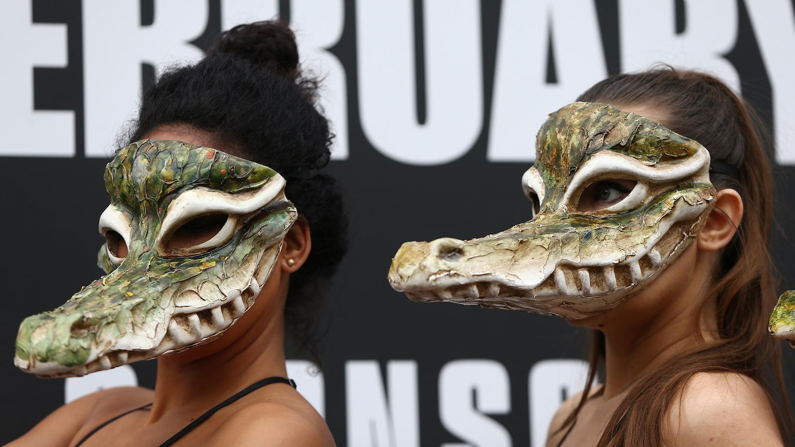 какое место займет крокодил в шоу маска