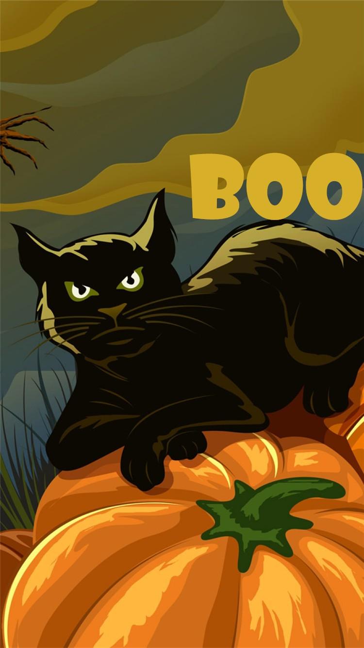 Black Cat On Pumpkin Boo Halloween iPhone 6 Wallpaper