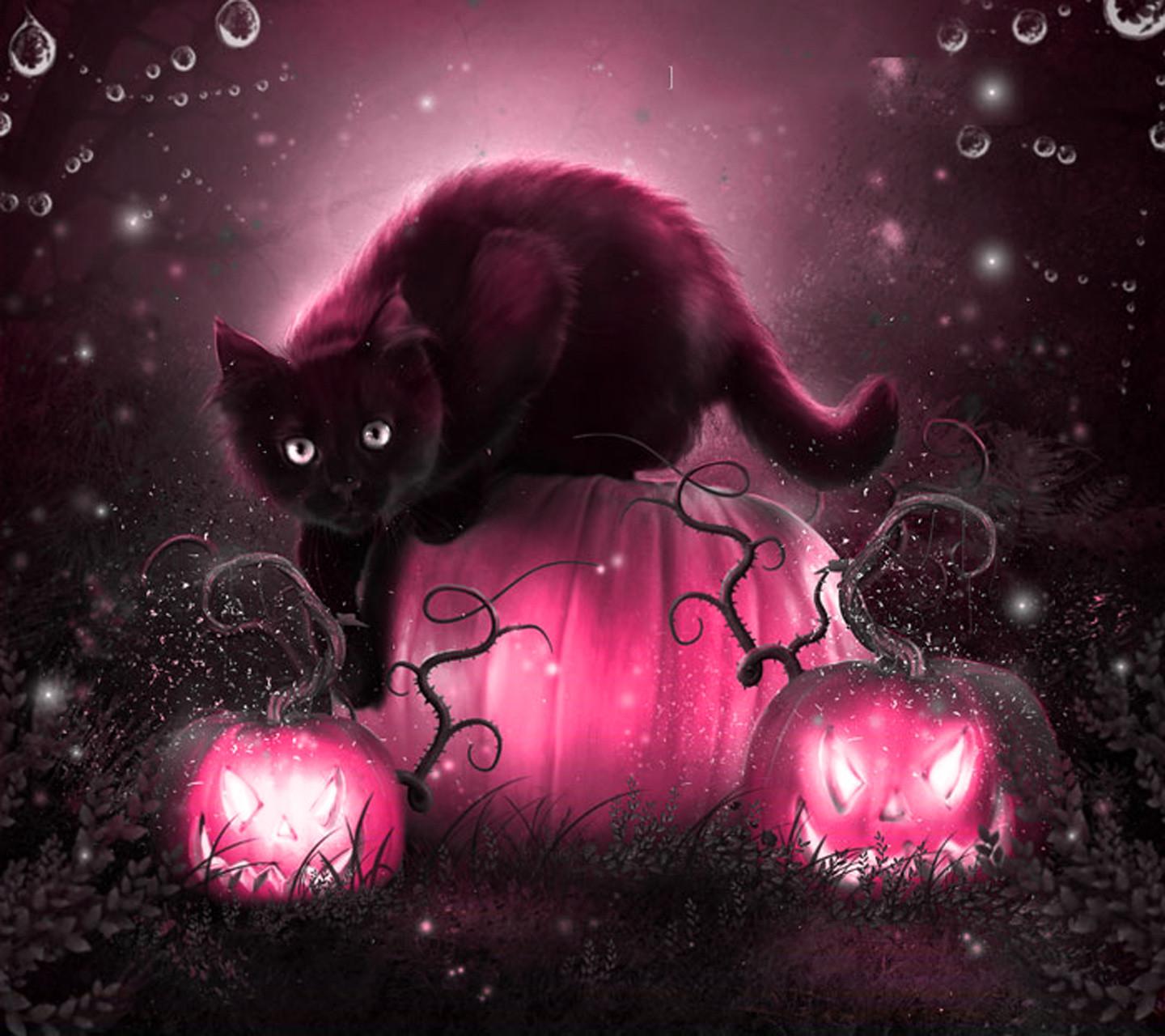 Halloween Kitty Wallpapers - Wallpaper Cave