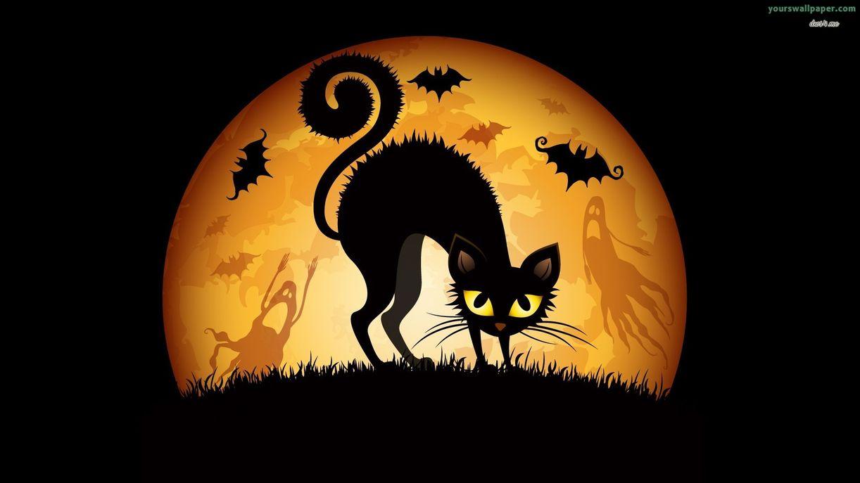 Halloween cat wallpaper