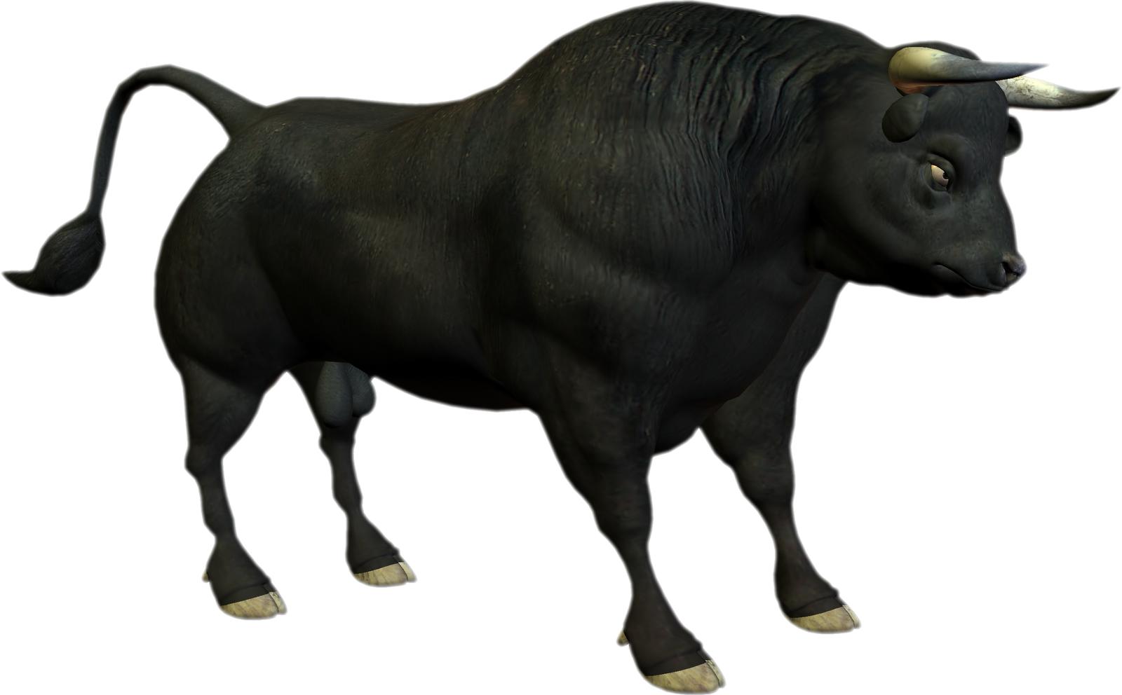 Download wallpaper: black bull, download photo, wallpaper
