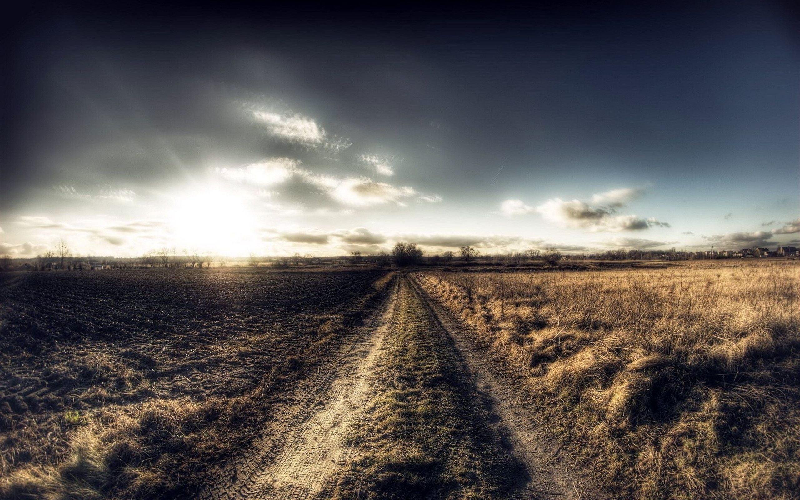 Empty road between beige grass with cloudy skies HD