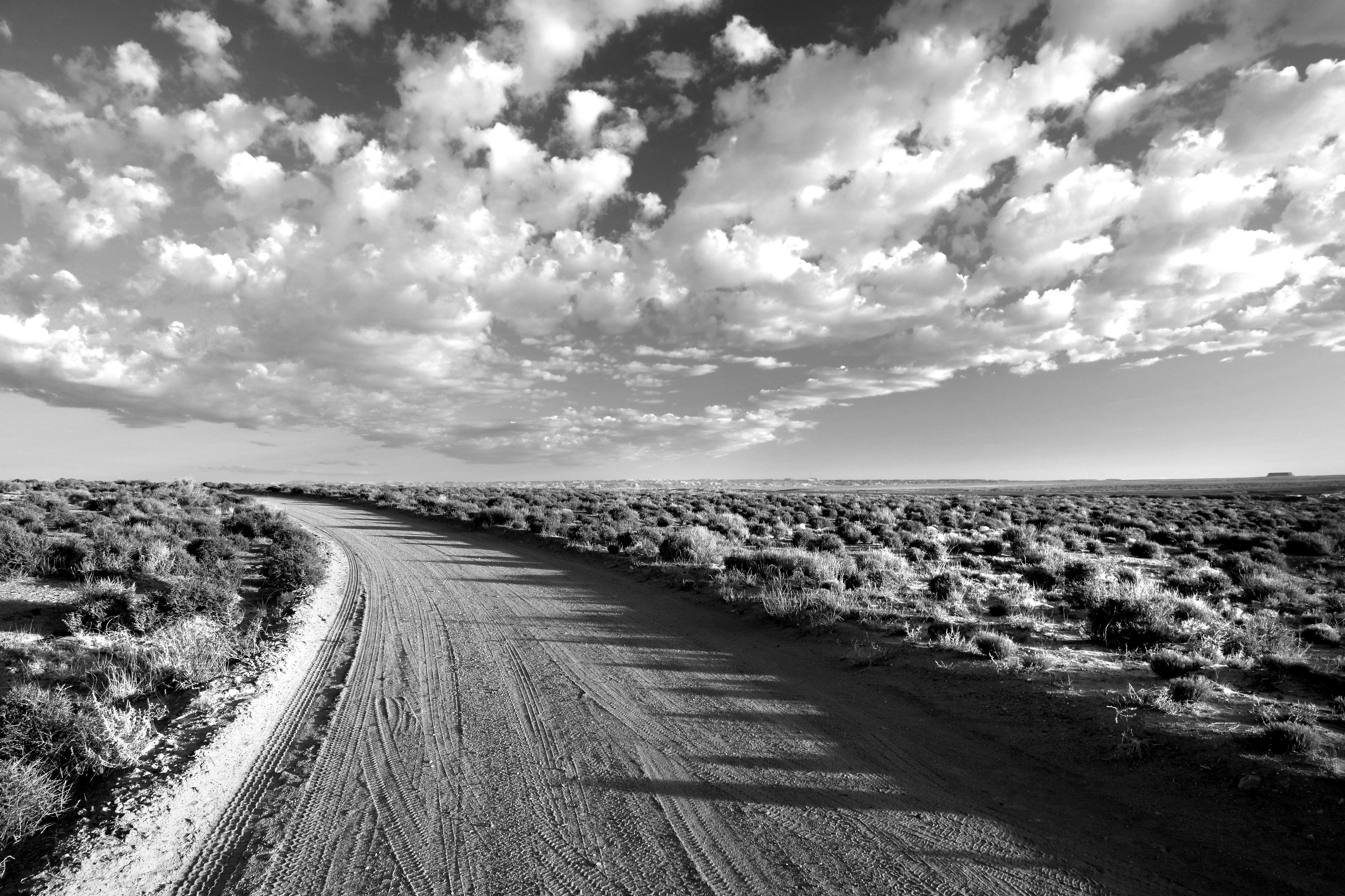Grayscale Photo of Empty Road Between Grass Field Under