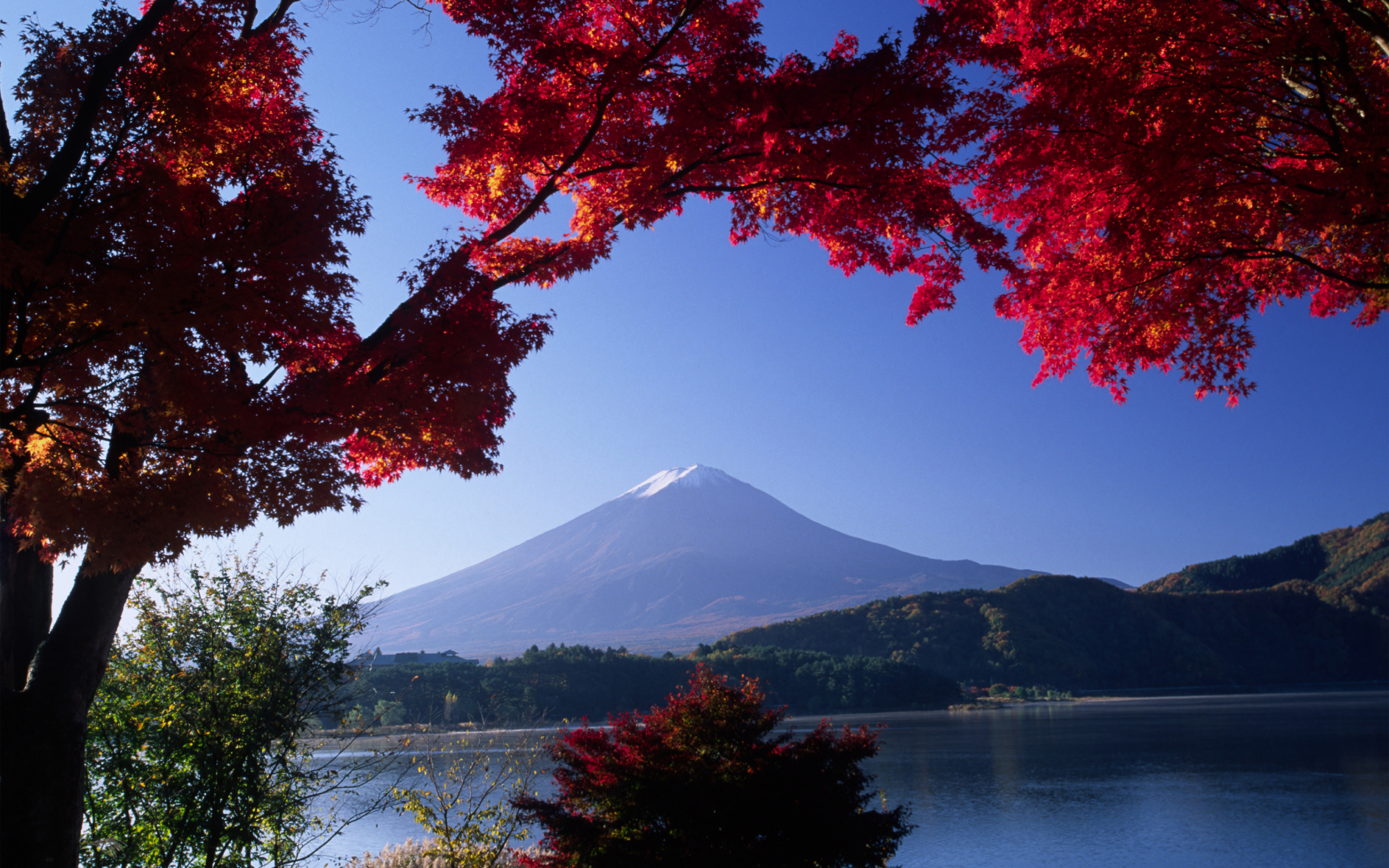 Hotel, Leaf, Mount Fuji, Reflection, Autumn MacBook Pro 13
