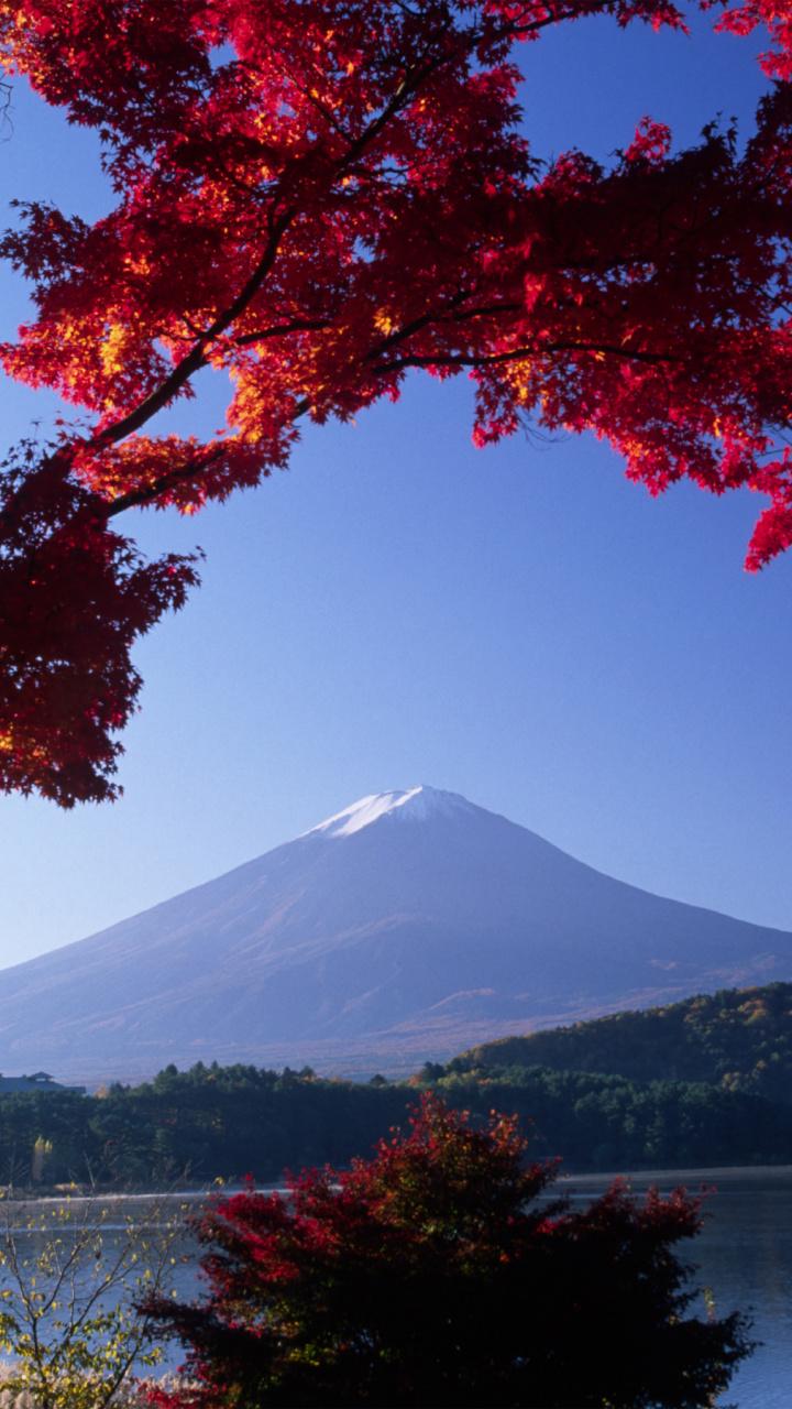 Hotel, Leaf, Mount Fuji, Reflection, Autumn HD Wallpaper