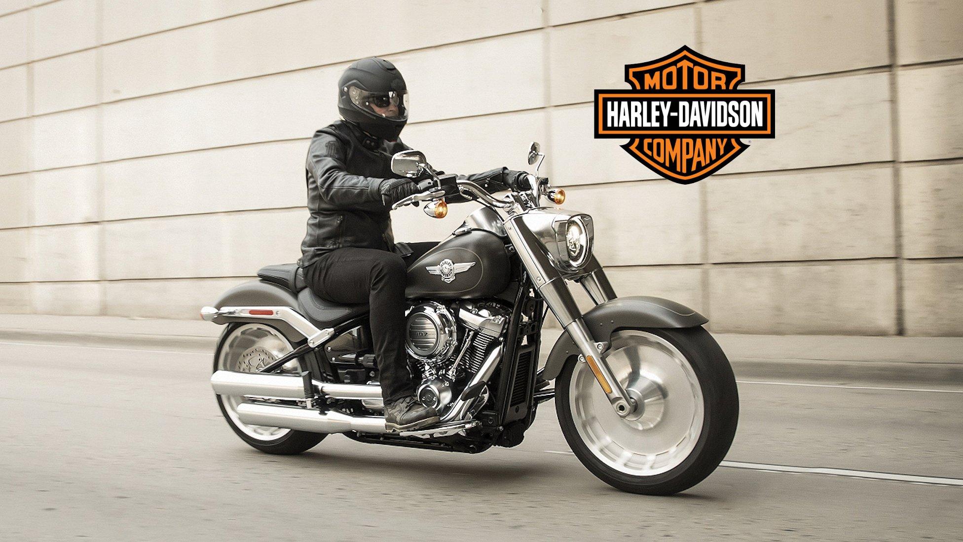 2019 Harley Davidson Fat Boy Picture, Photo