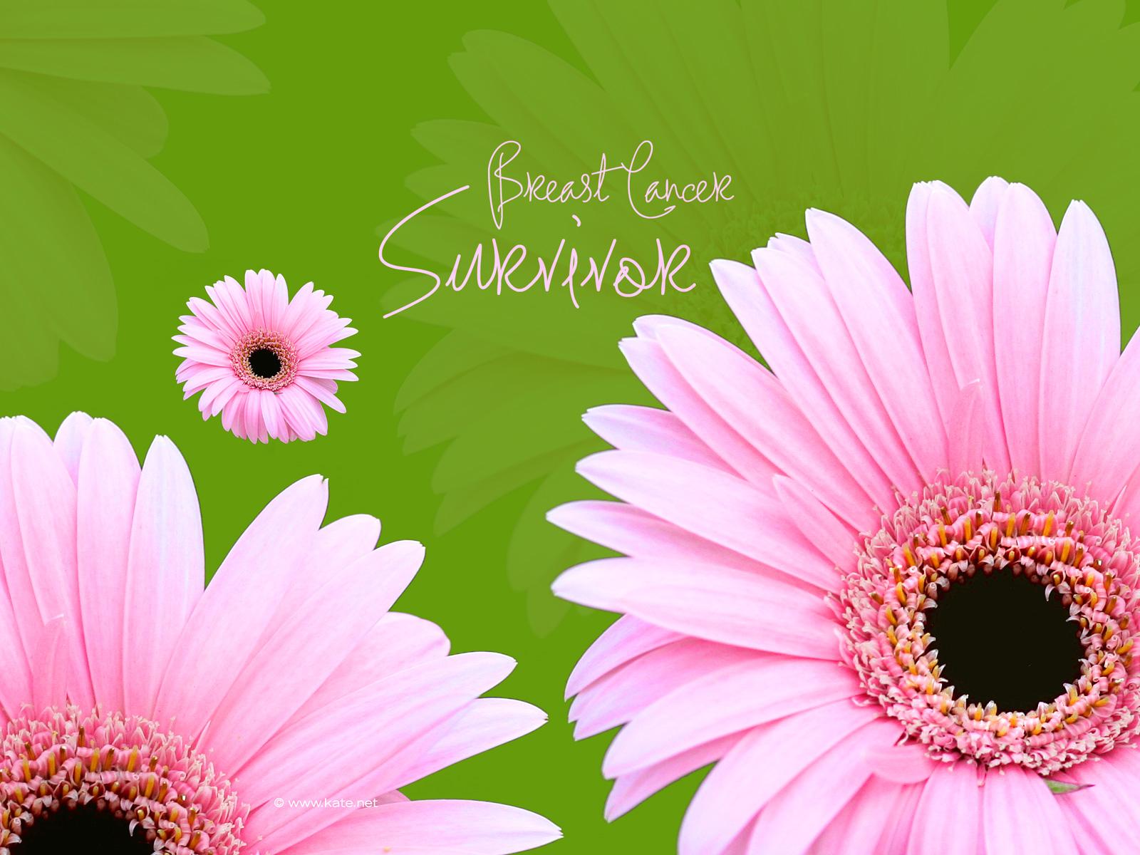 Breast Cancer Awareness Wallpaper by Kate.net