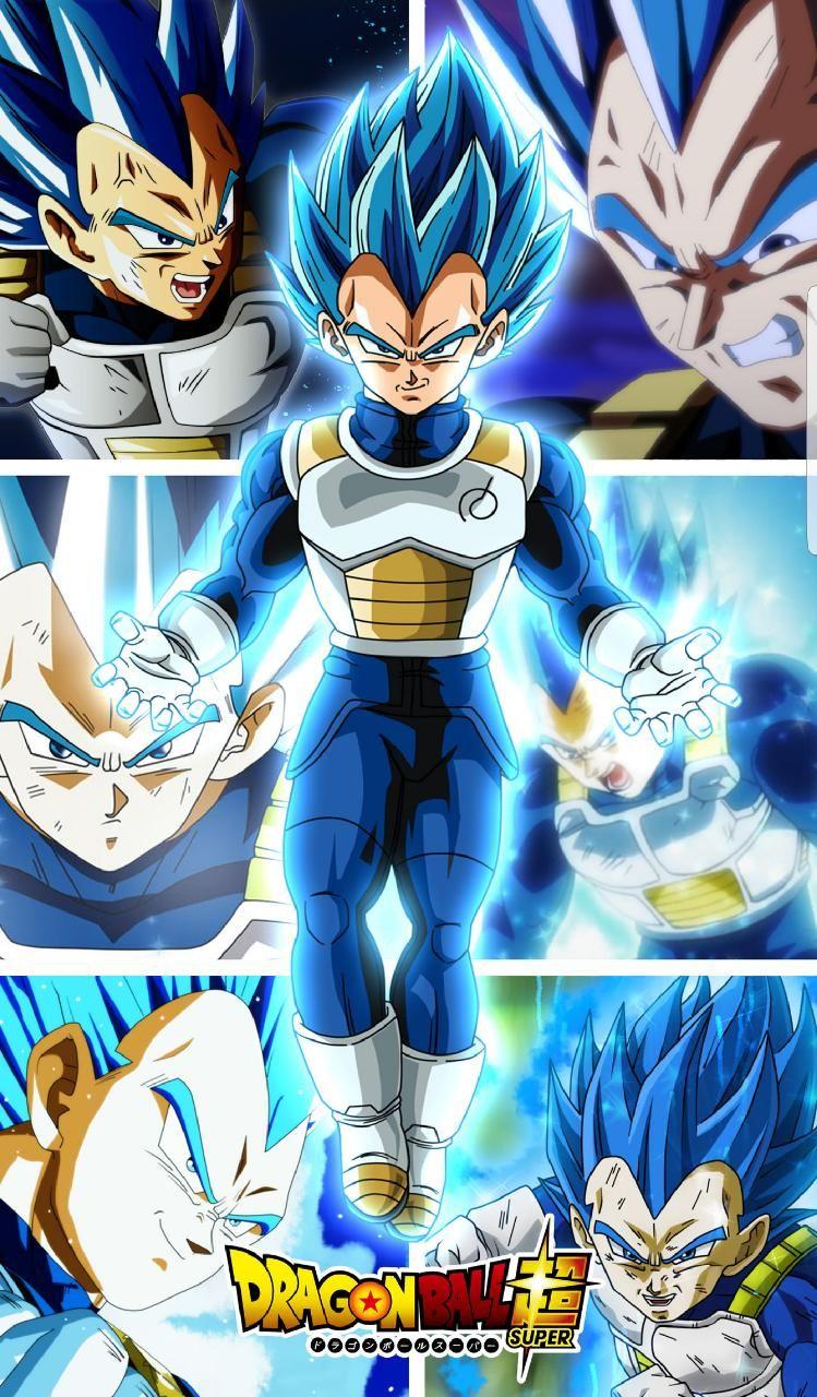 Vegeta Ssj Blue Evolution Free Wallpaper & Background