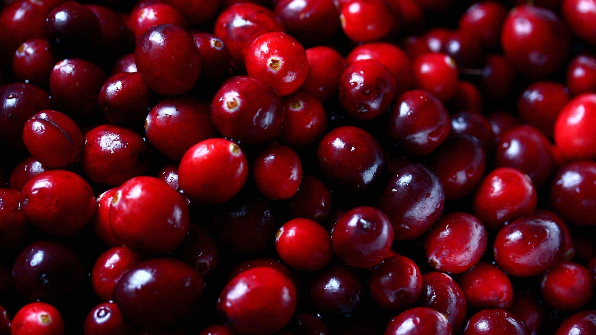 Cranberry HD Wallpaper and Background Image