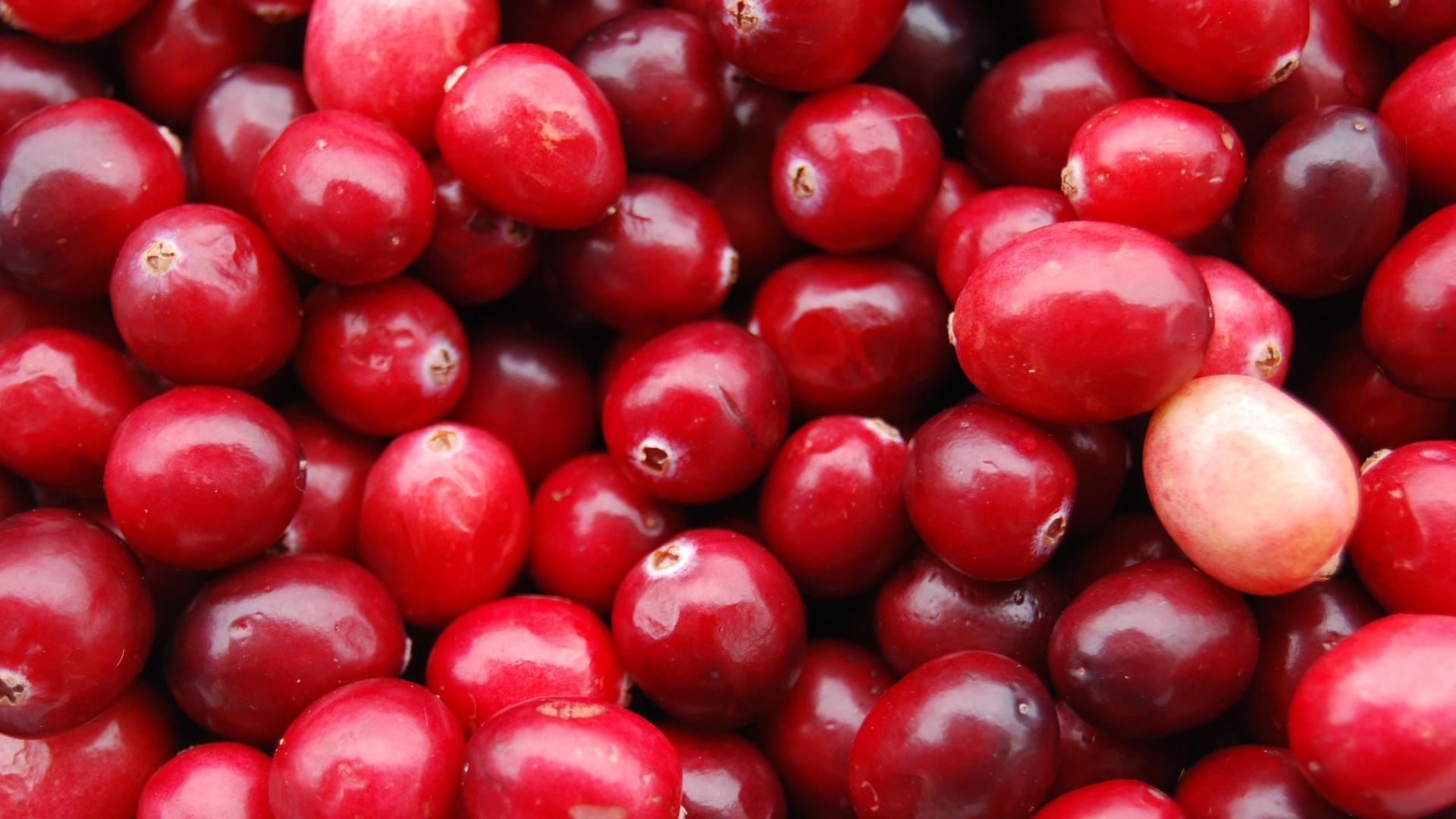 Cranberry Wallpaper and Background Image