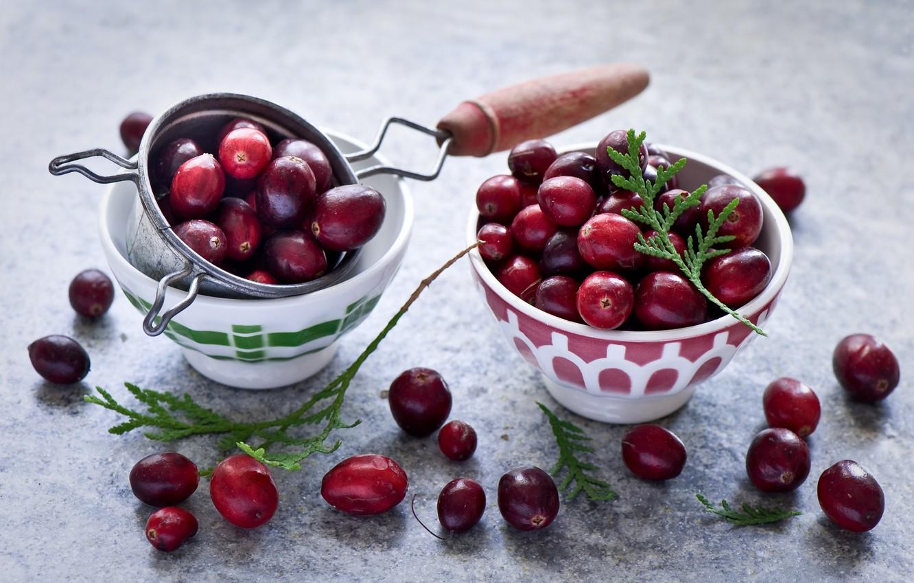 Wallpaper berries, cranberry, Cranberry image for desktop