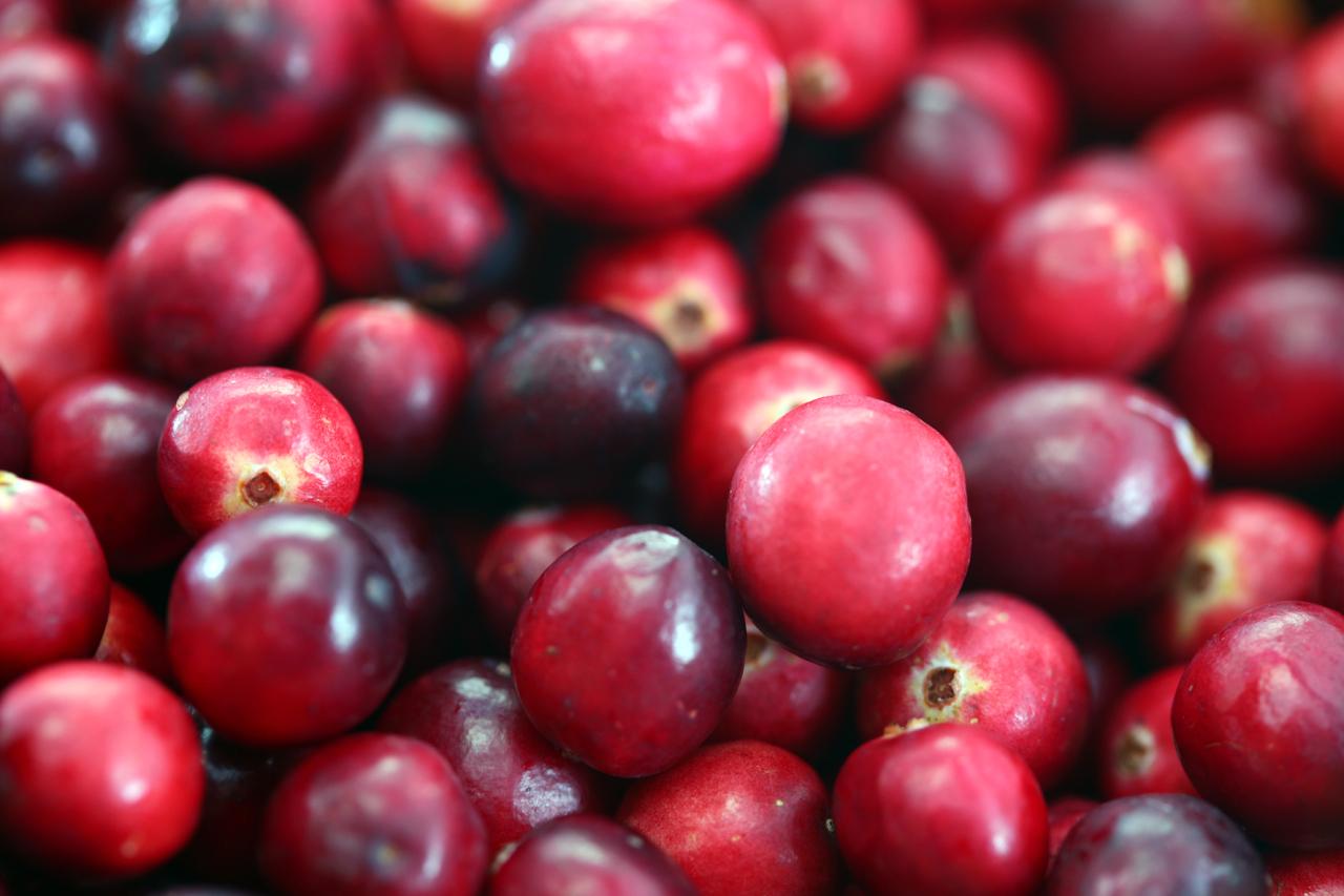 Cranberry Wallpapers - Wallpaper Cave