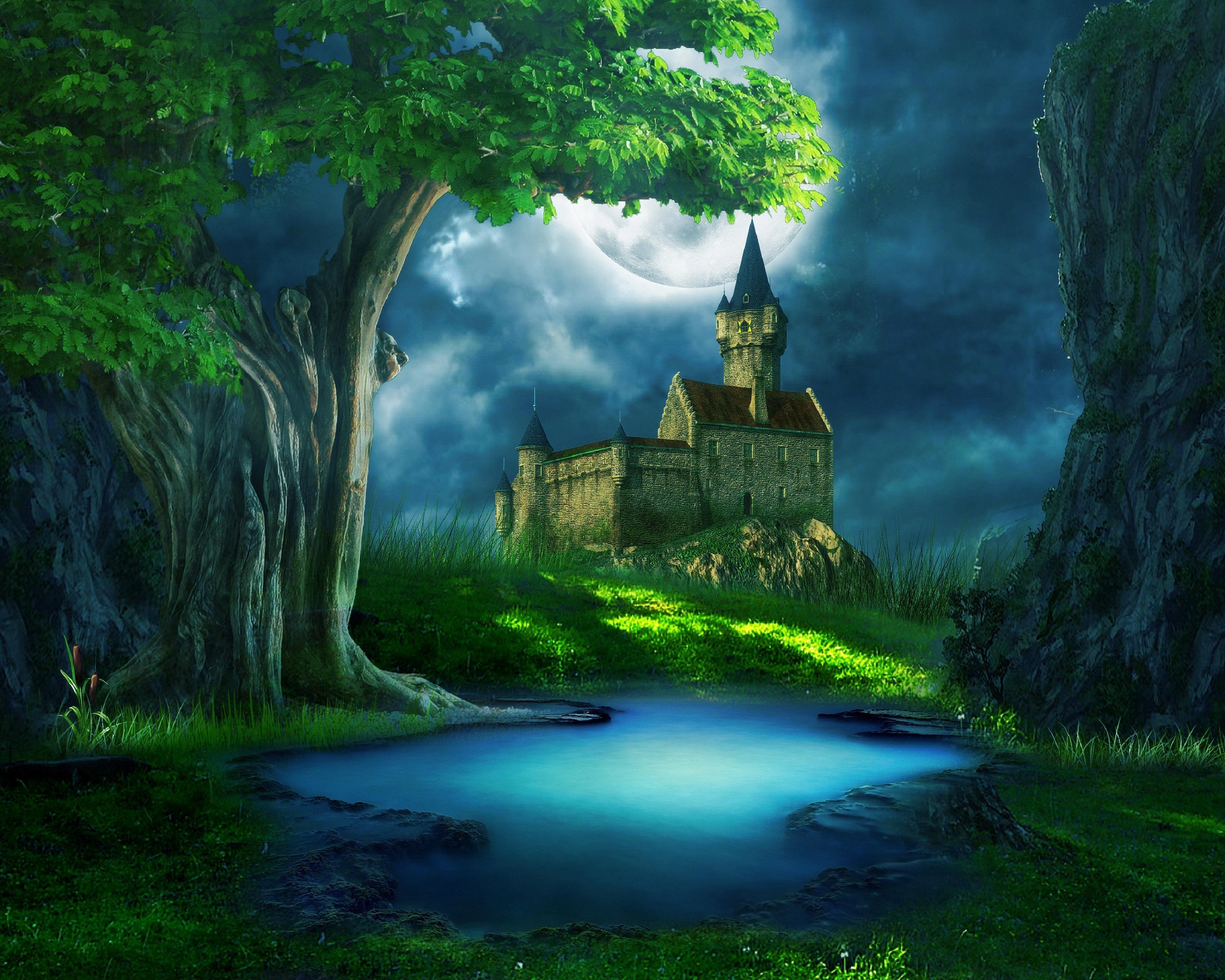 Castle in Enchanted Forest HD Wallpaper. Background Image