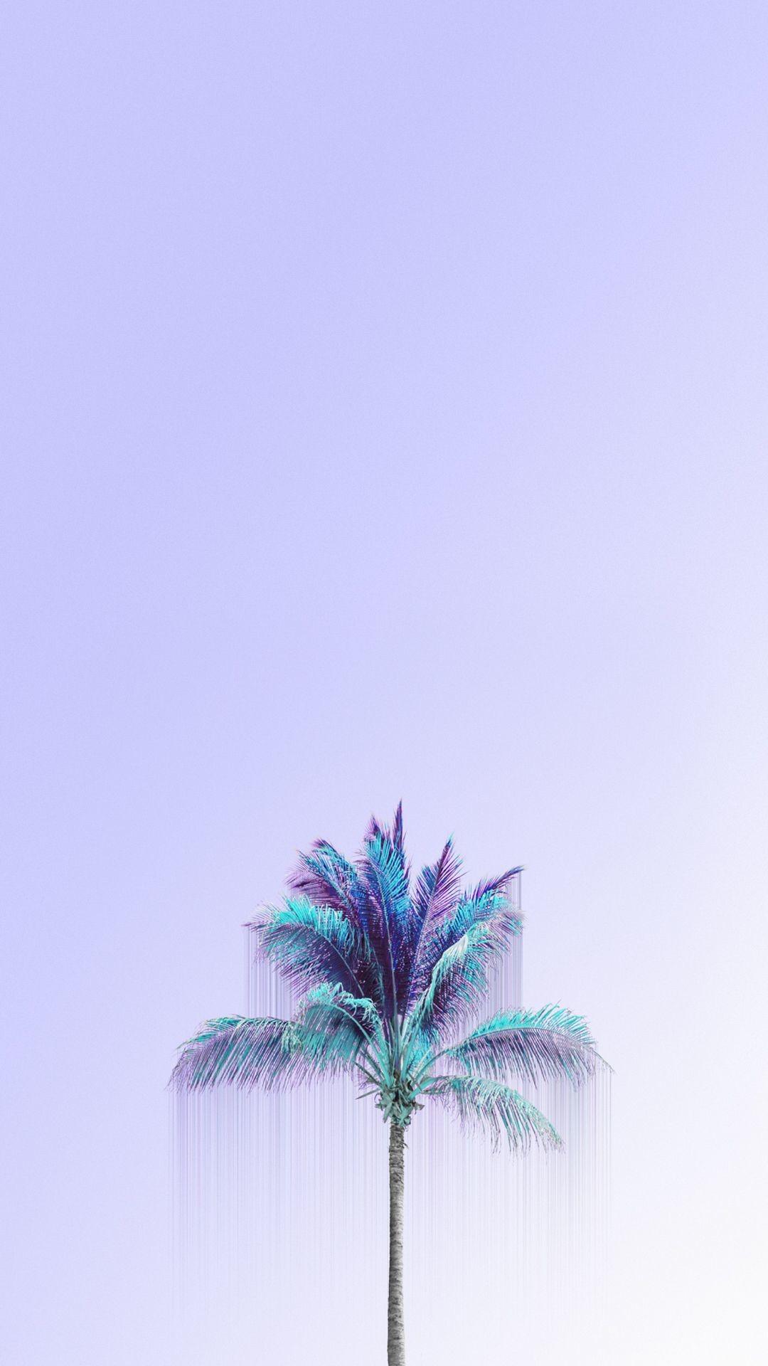 Palm Aesthetic Wallpaper