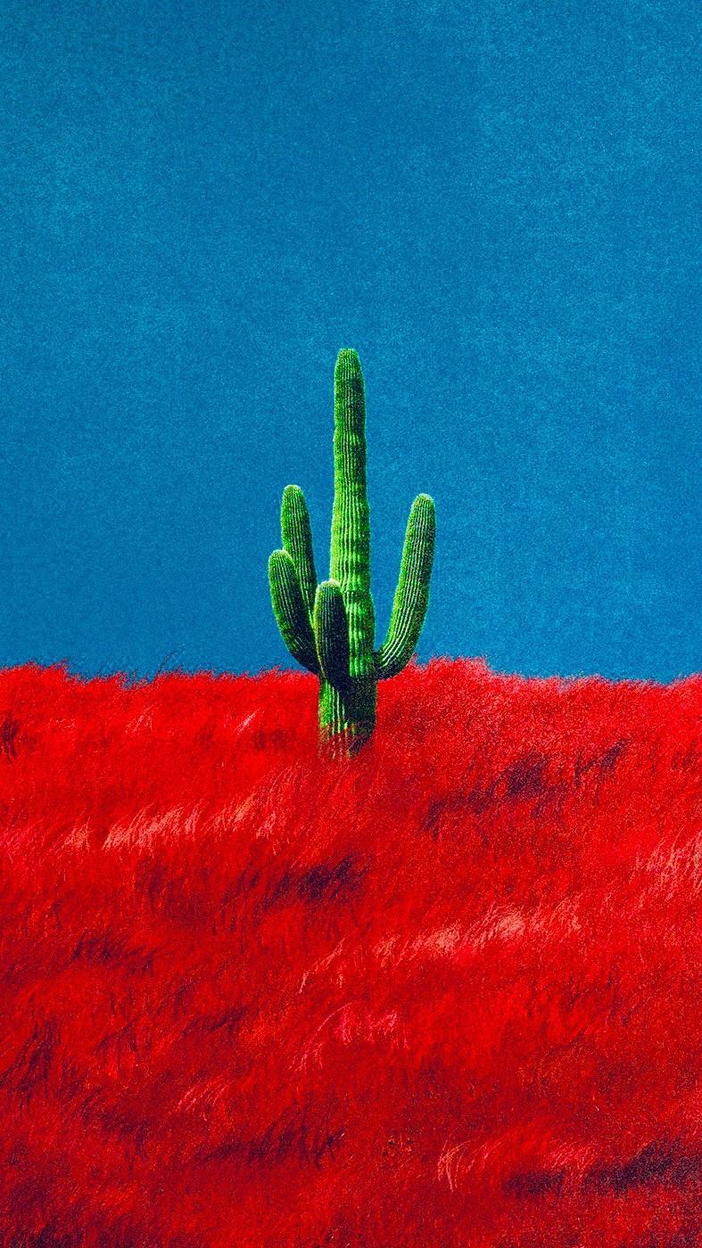 Travis Scott Cactus iPhone Free Wallpaper & Background