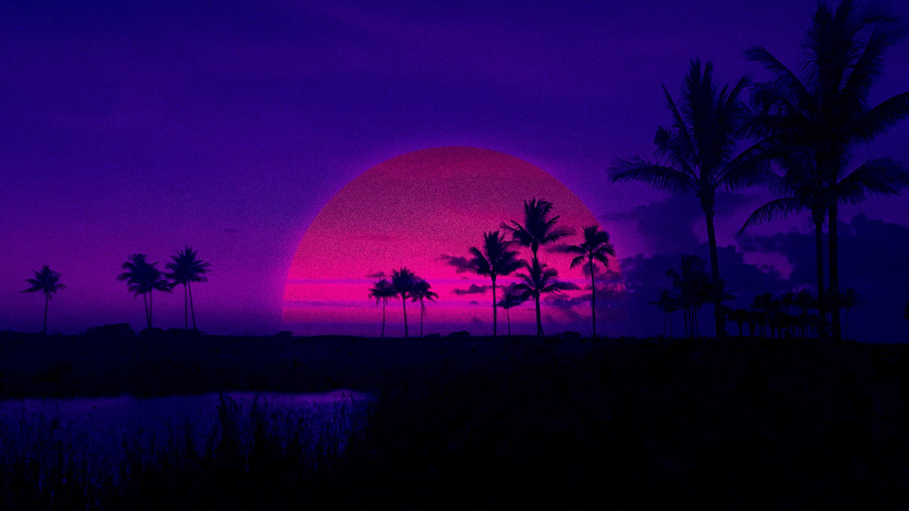 Palm trees, retrowave, Retrowave, purple, sunset HD wallpapers