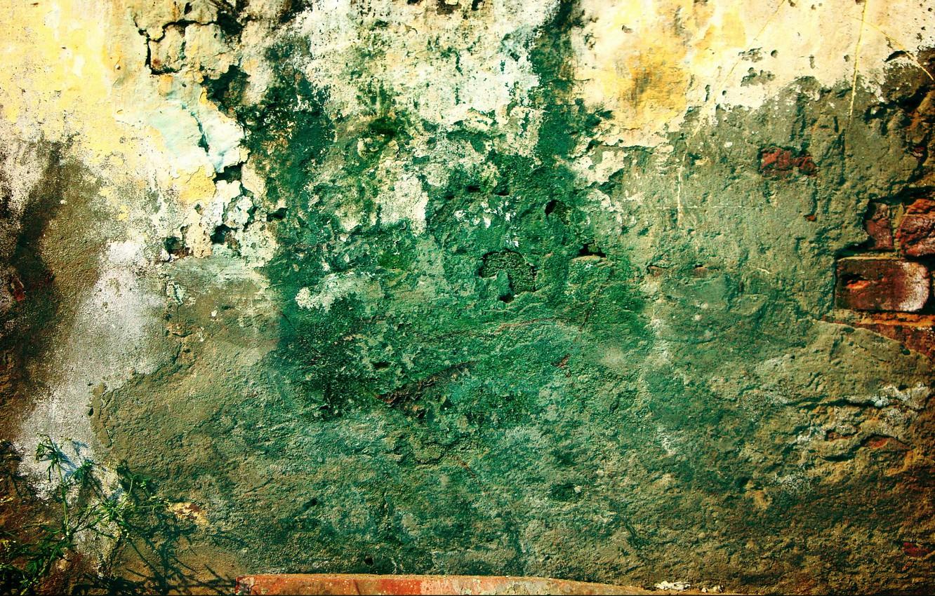 Wallpaper green, wall, pattern, grunge, plant, brick, dirty