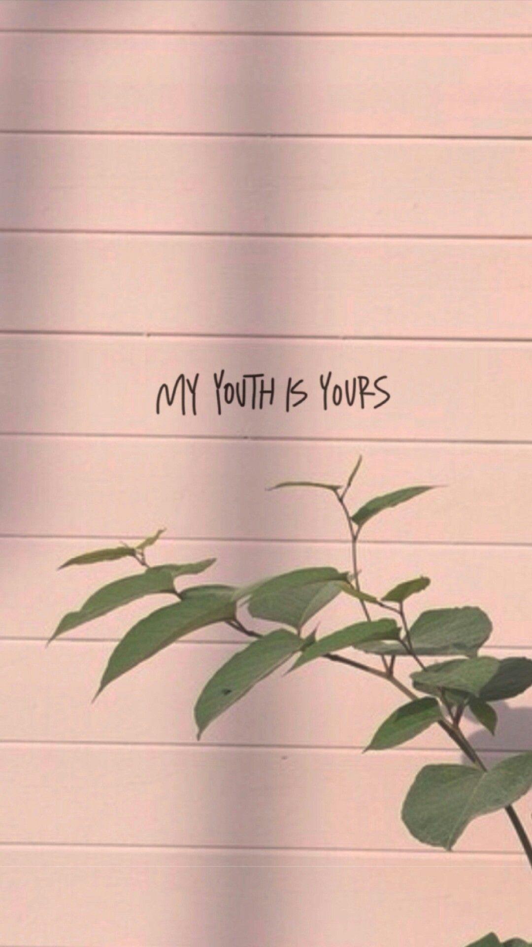 My youth is yours. Sol Monzón. Ls. Aesthetic