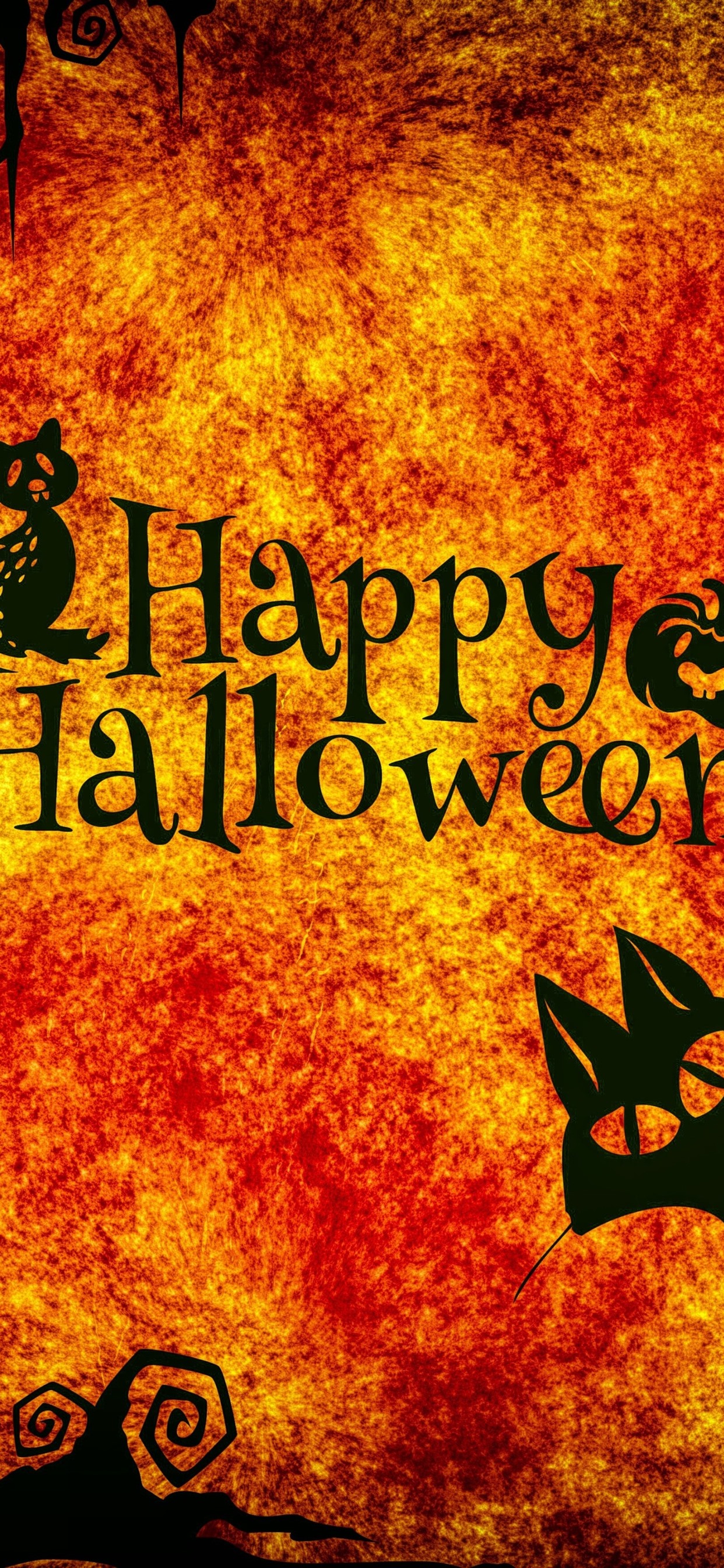 Happy Halloween, night, cats, owl, spider, pumpkin 1242x2688