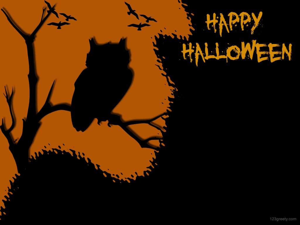Koleksi Wallpaper Halloween Owl. Download Kumpulan