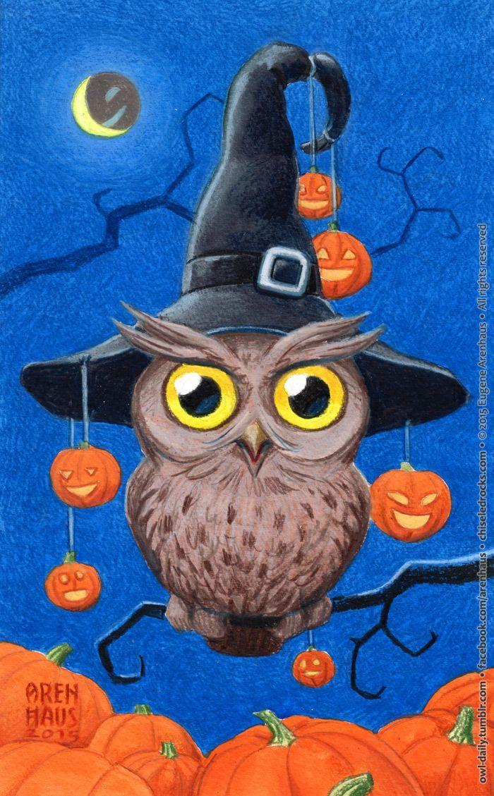 Halloween Owl Wallpaper, Free Stock Wallpaper