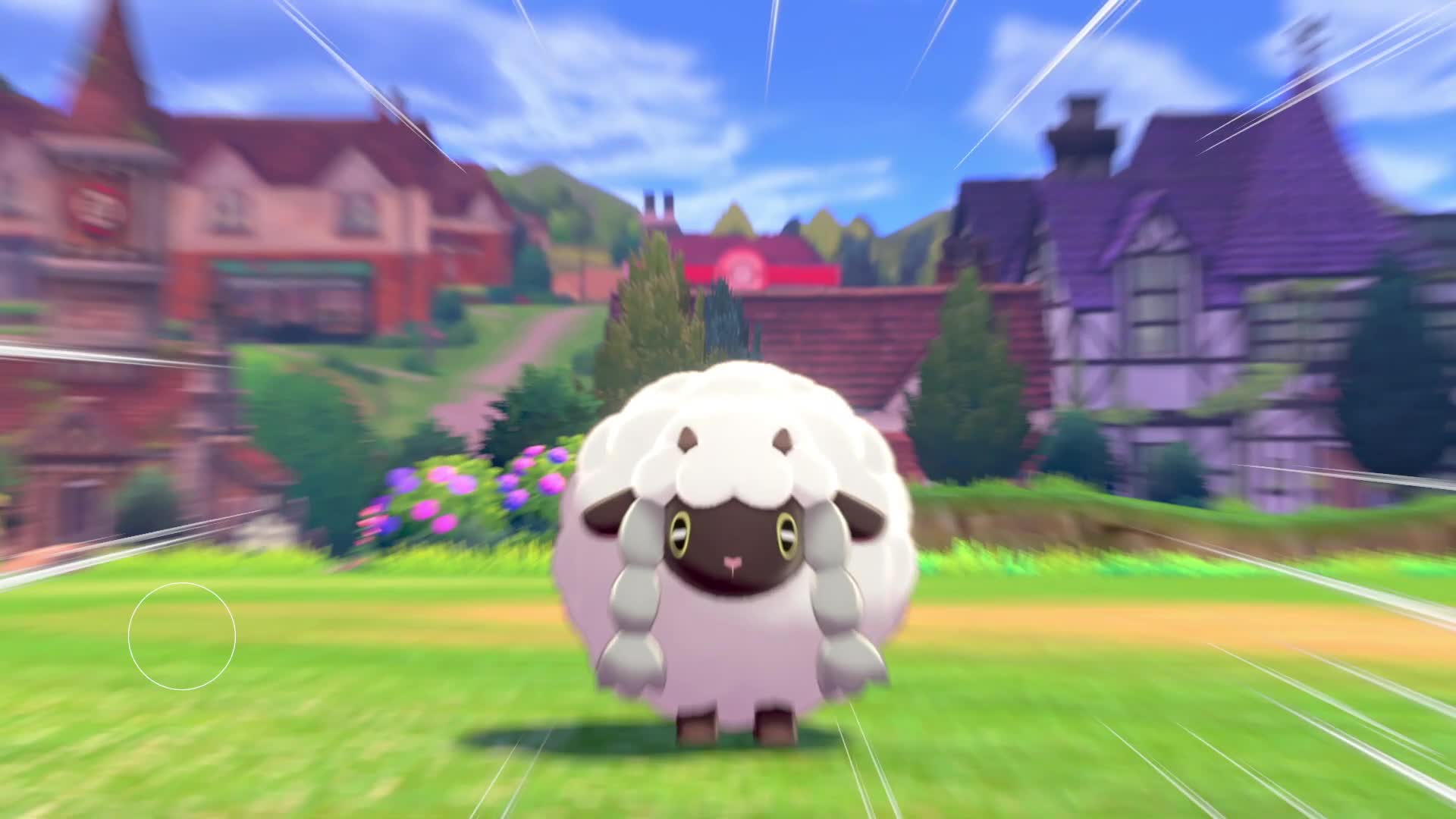 Pokemon concierge. Покемон rookidee. Покемон Wooloo ero. Wooloo Pokemon gif. Sword or Sheep.