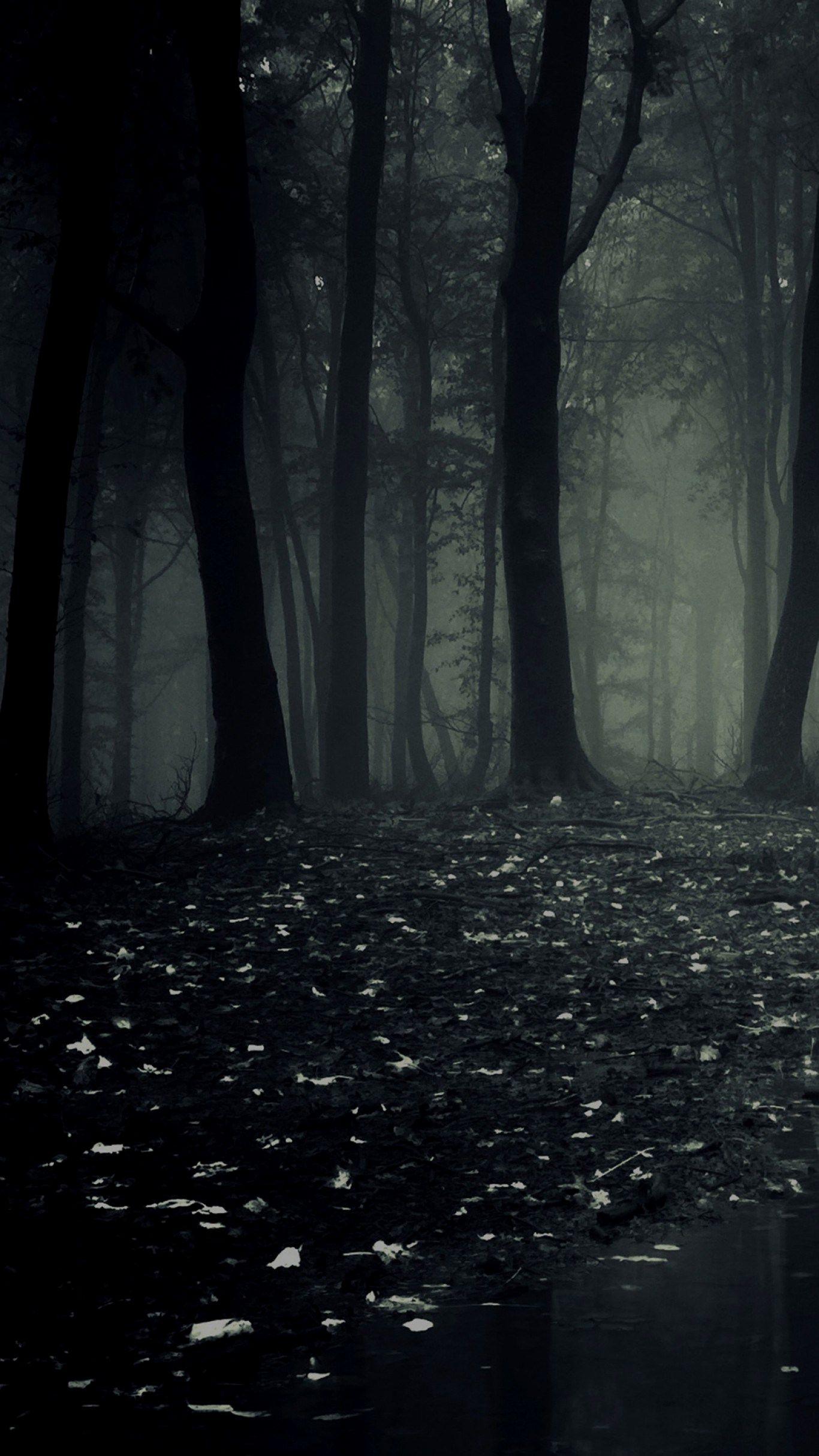 Dark Forest Wallpaper Free Dark Forest Background