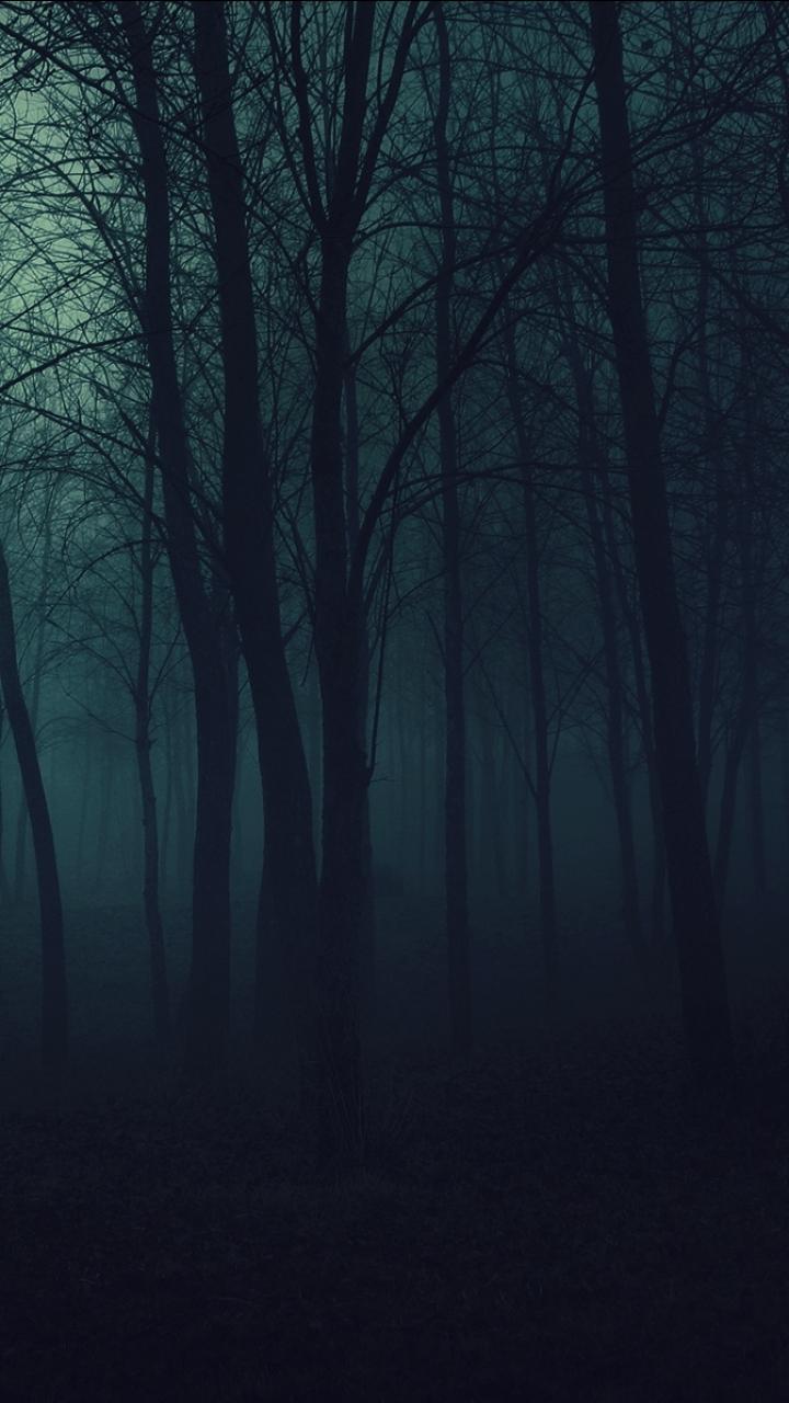Dark Forest (720x1280) Wallpaper