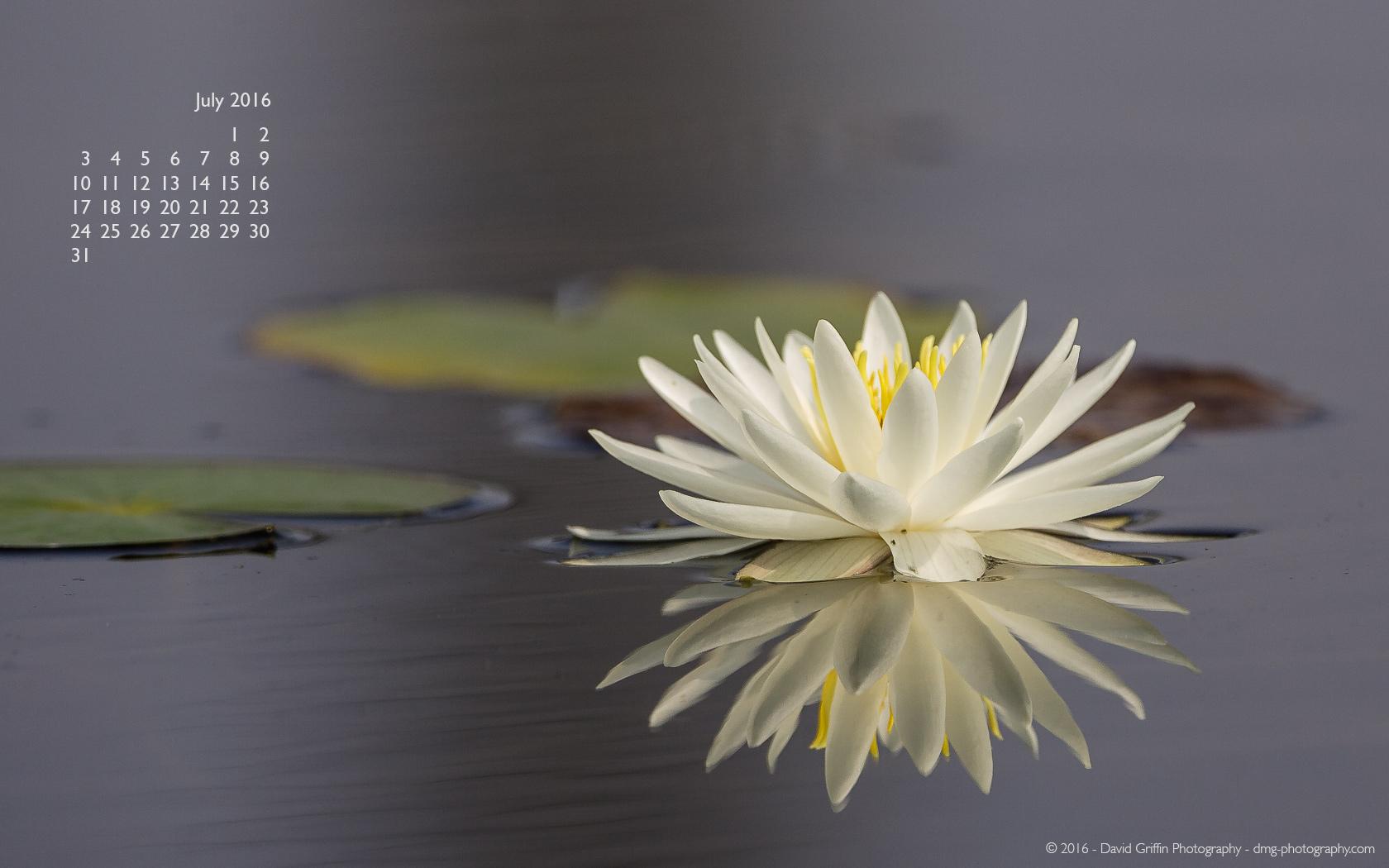 July 2016 Wallpaper. David Griffin Photography