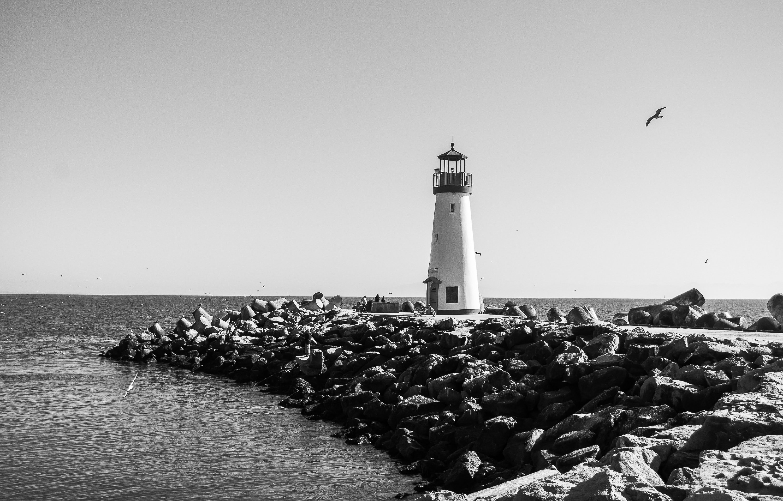 Grayscale Photography of Bird Flying Near Lighthouse by