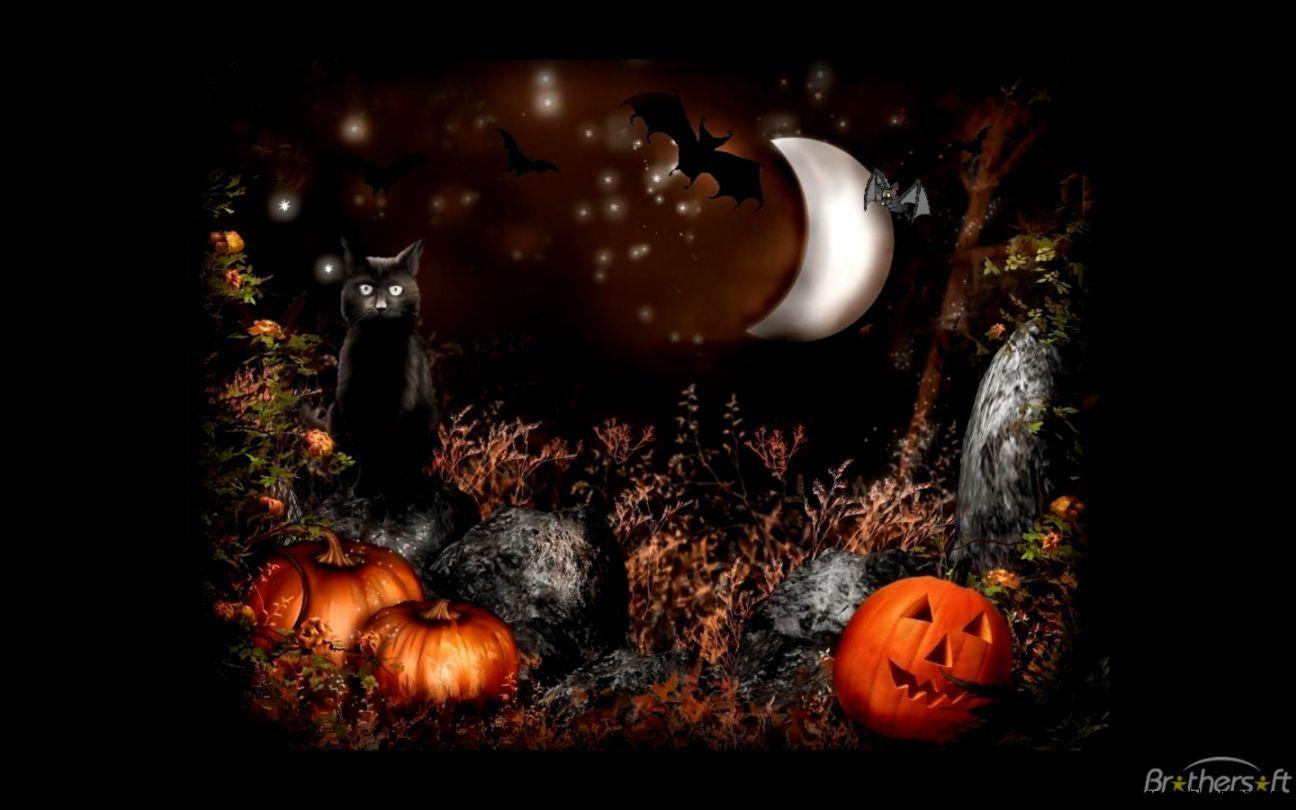 Halloween HD Wallpaper Background Wallpaper 1280×866