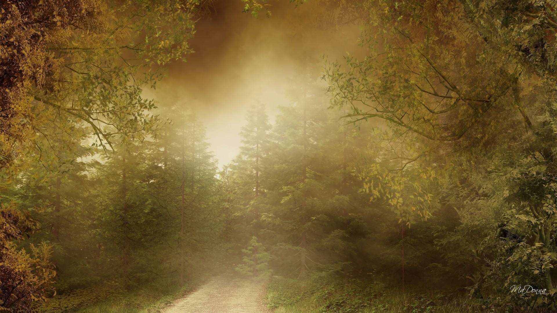 Misty Autumn Morning HD desktop wallpaper, Widescreen