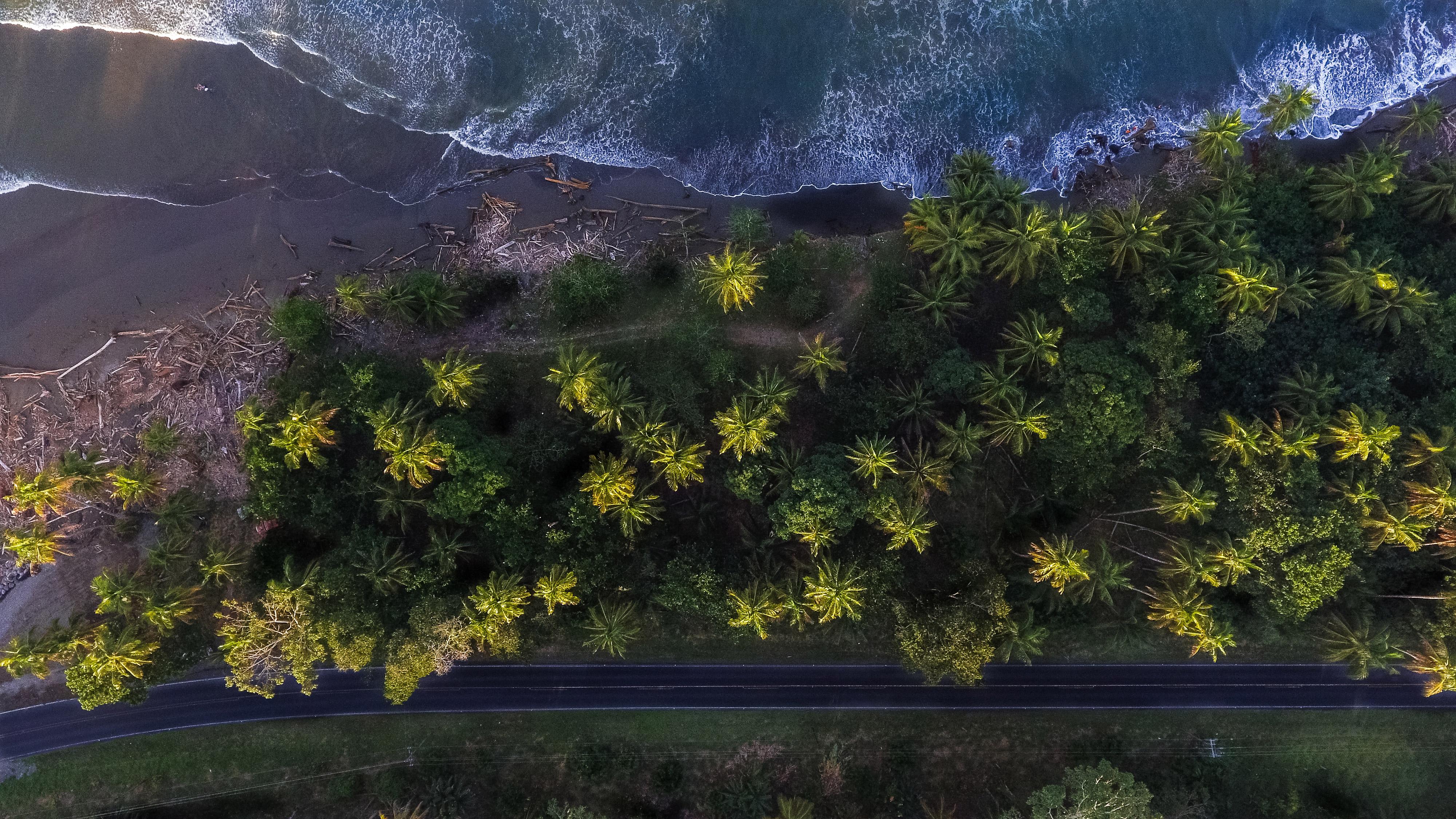 Aerial Shot Of Trees 4k, HD Nature, 4k Wallpaper, Image