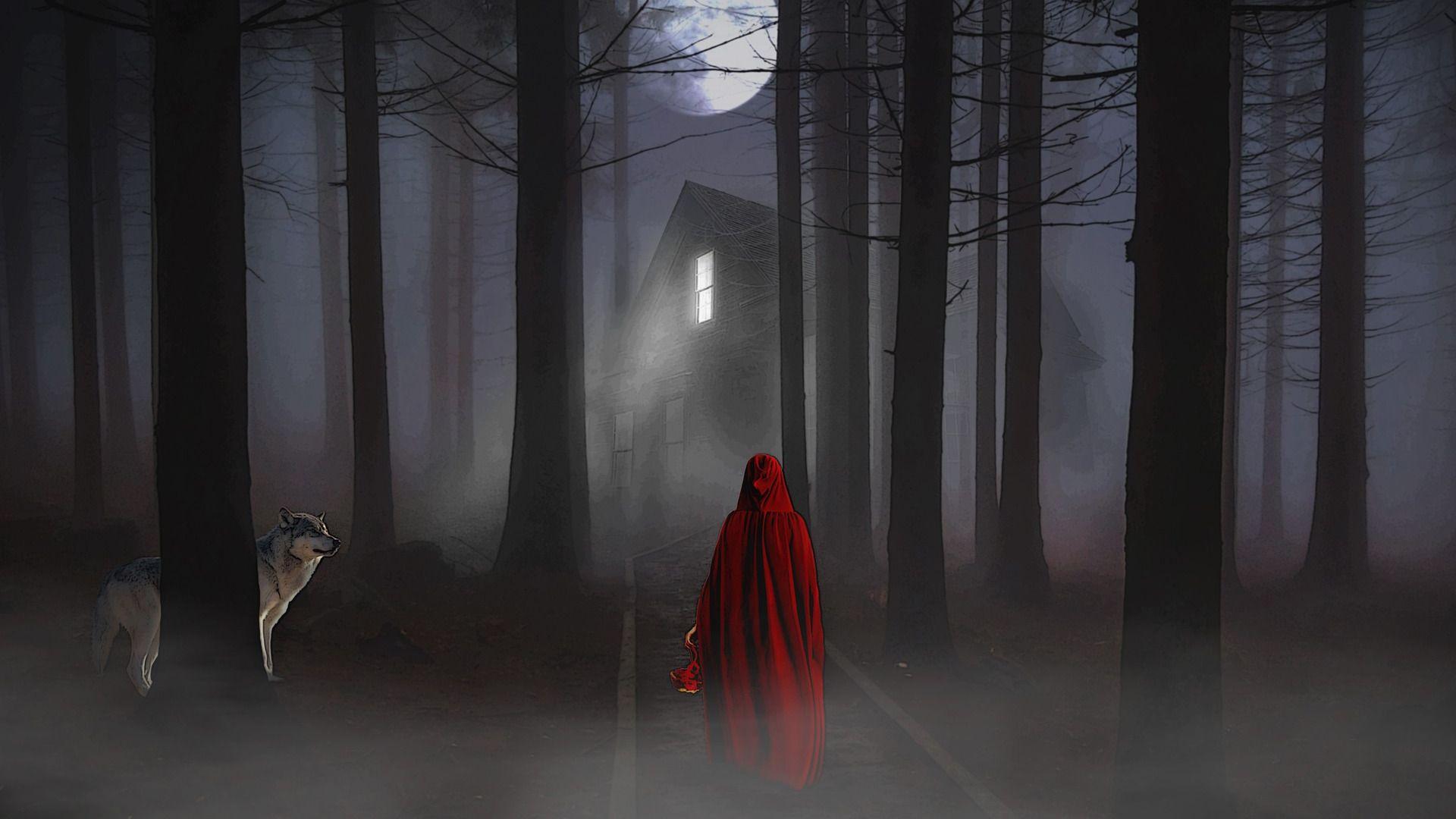 Moon Forest Woman and Wolf Night Scary View Wallpaper