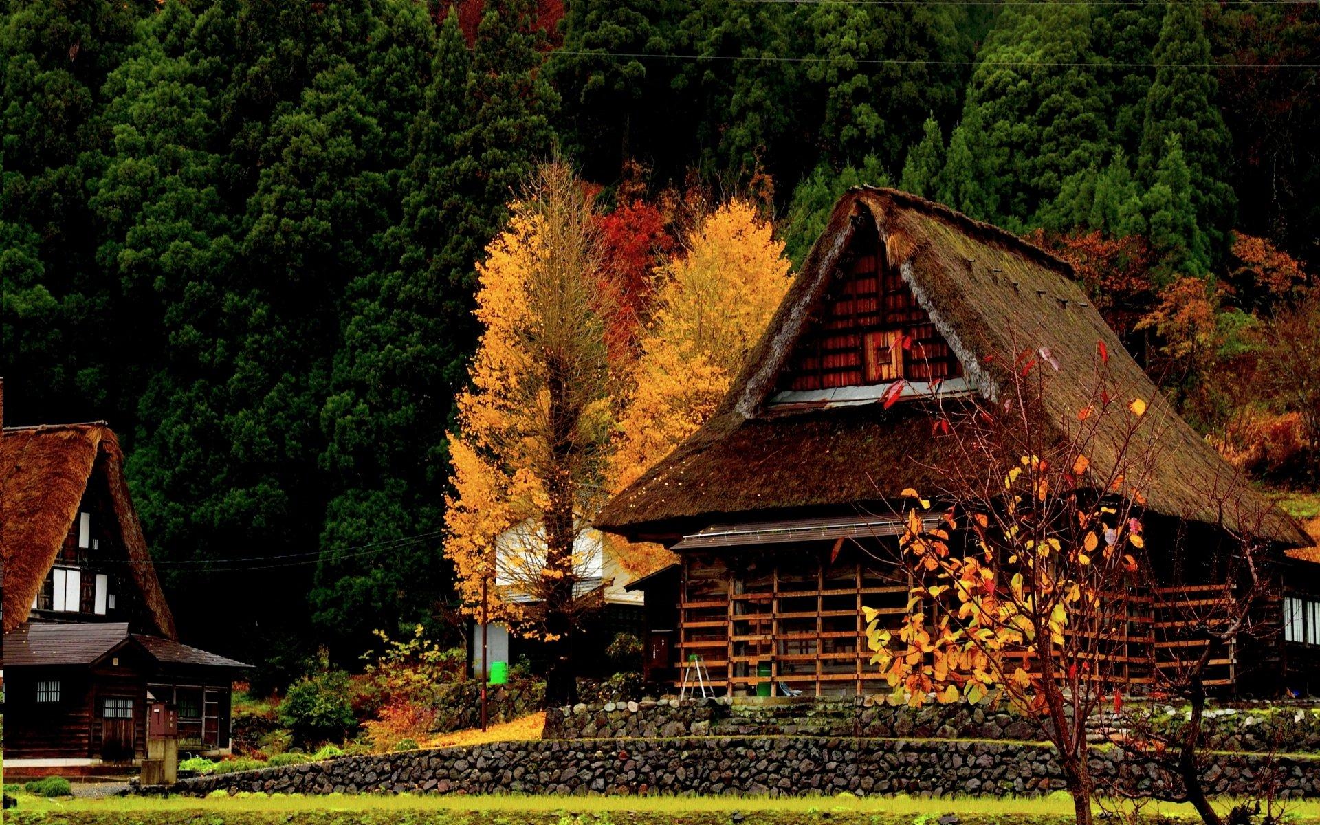Cottages in Autumn Forest HD Wallpaper