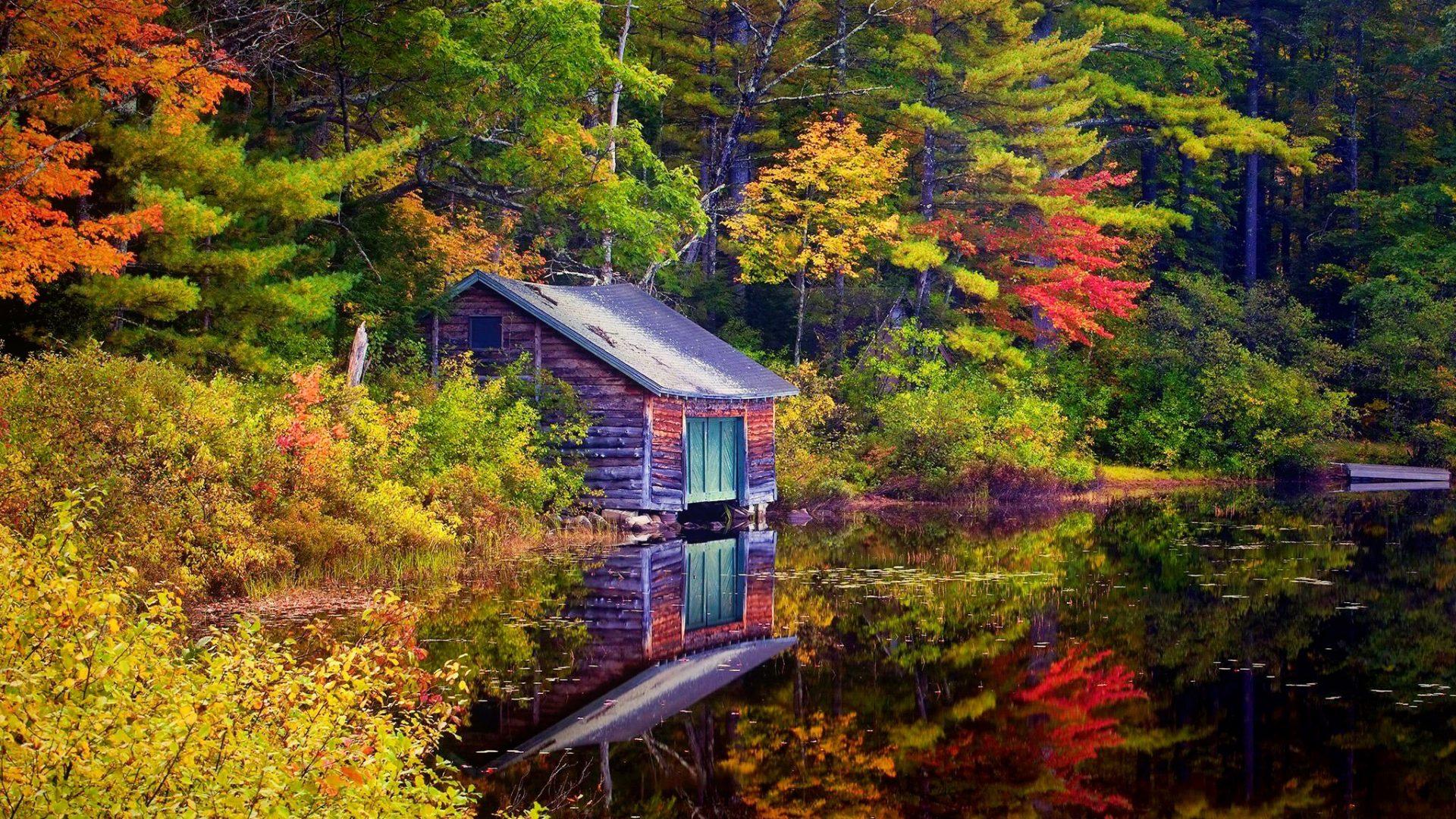Wooden cottage in autumn forest & Nature