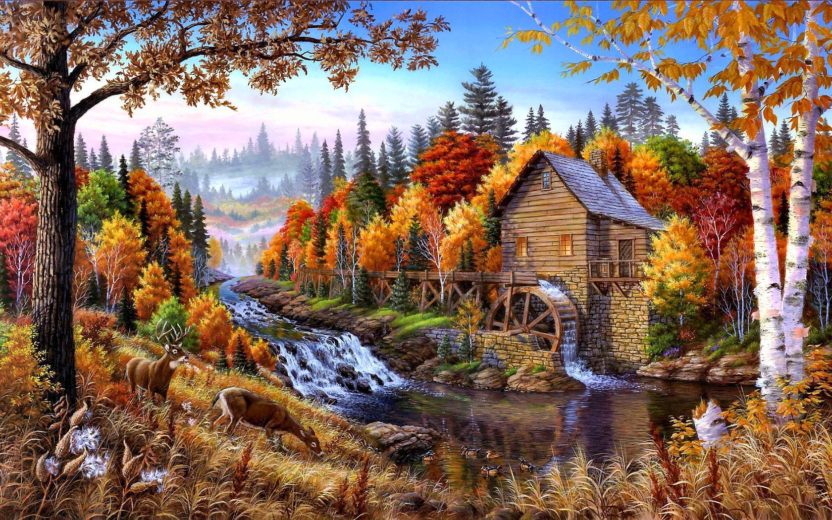 Old forest mill Wallpaper and Background Imagex1050