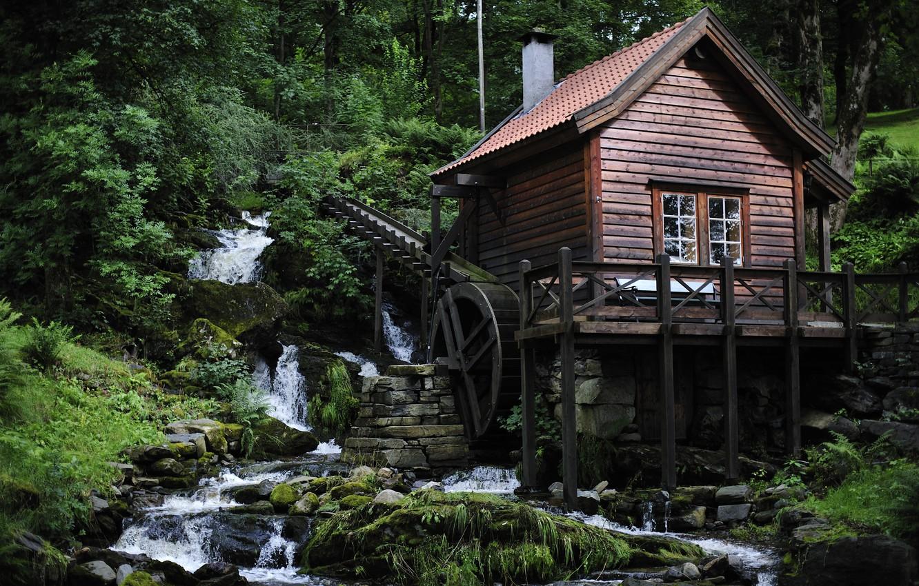 Wallpaper forest, house, river, mill image for desktop, section пейзажи