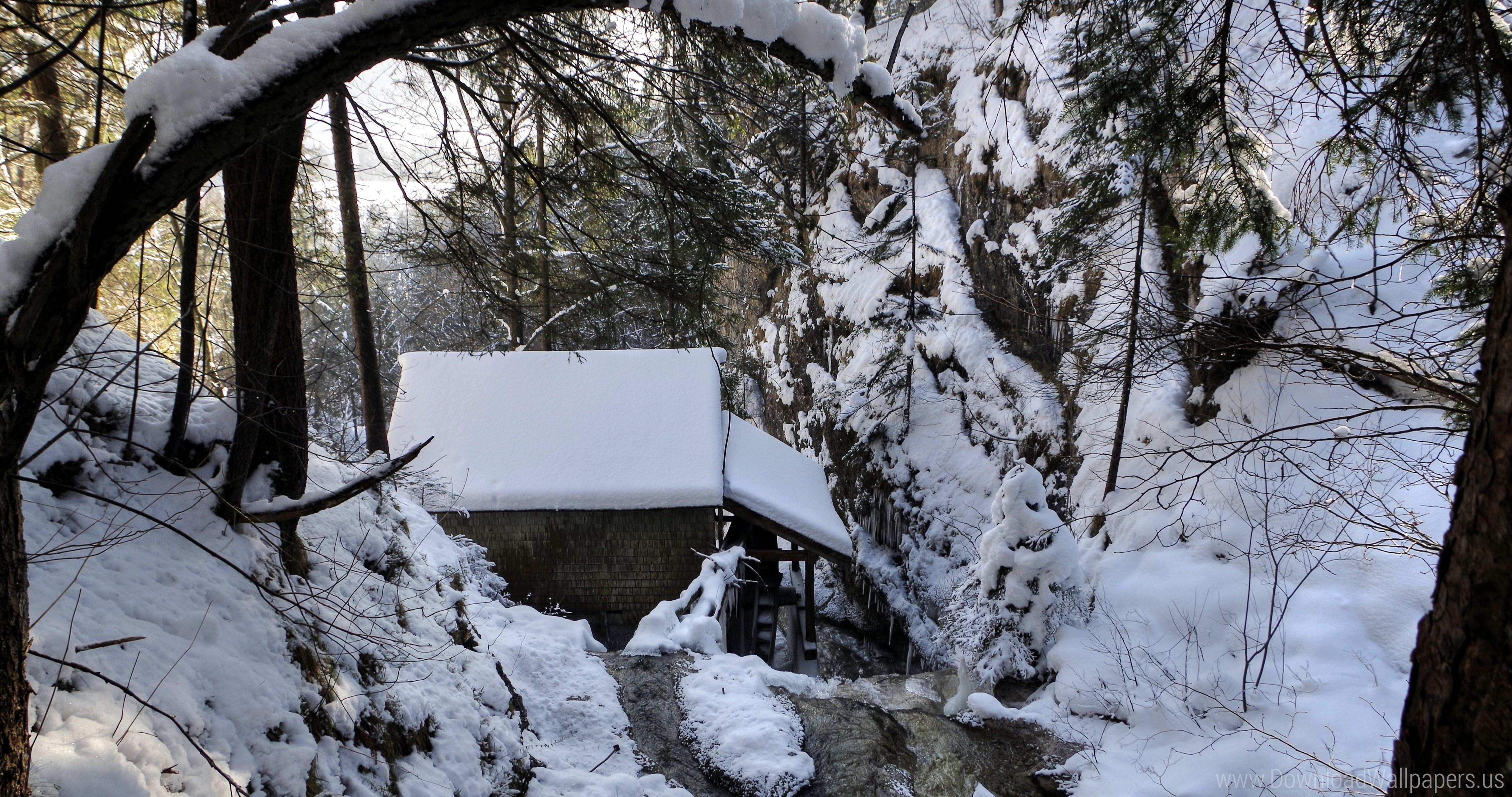 Download 4K Cinema 4096x2160, Forest