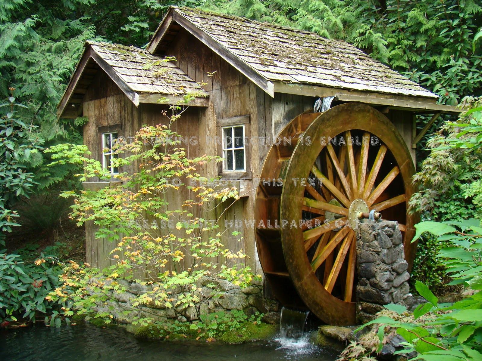 old forest mill waterwheel architecture