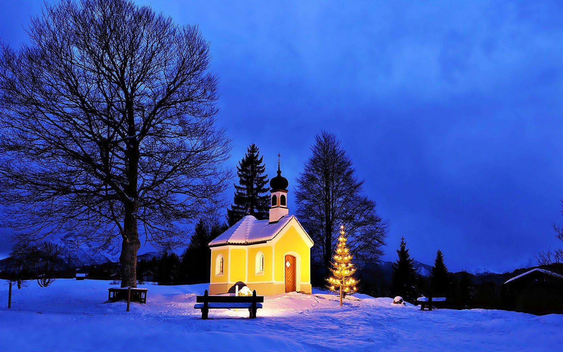 landscape, trees, snow, bench, christmas tre, church.