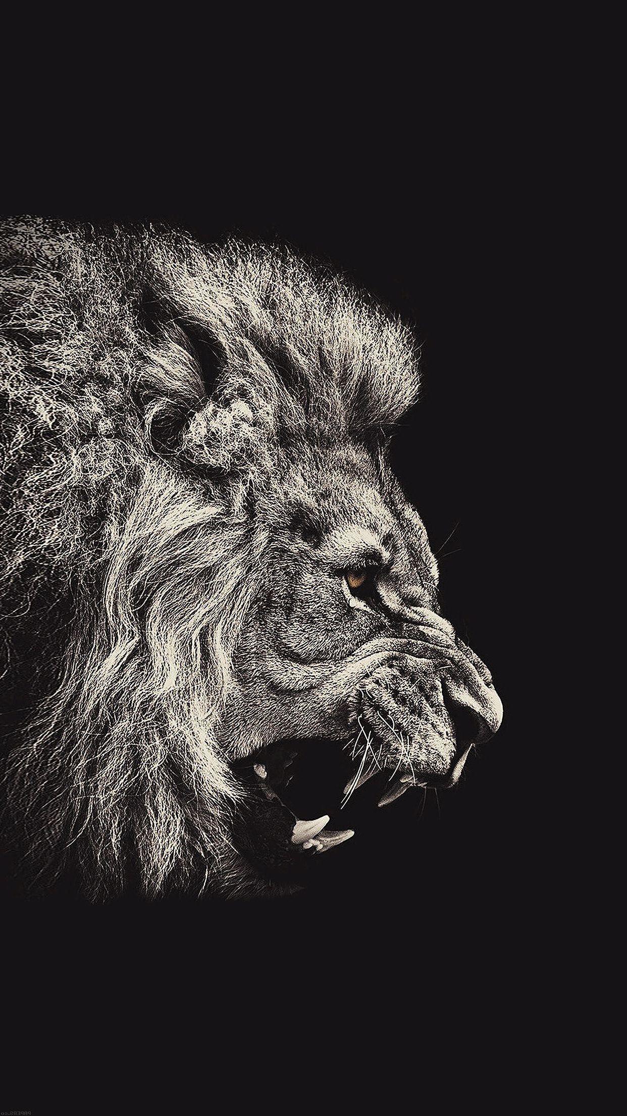 Lion iPhone Wallpaper Free Lion iPhone Background