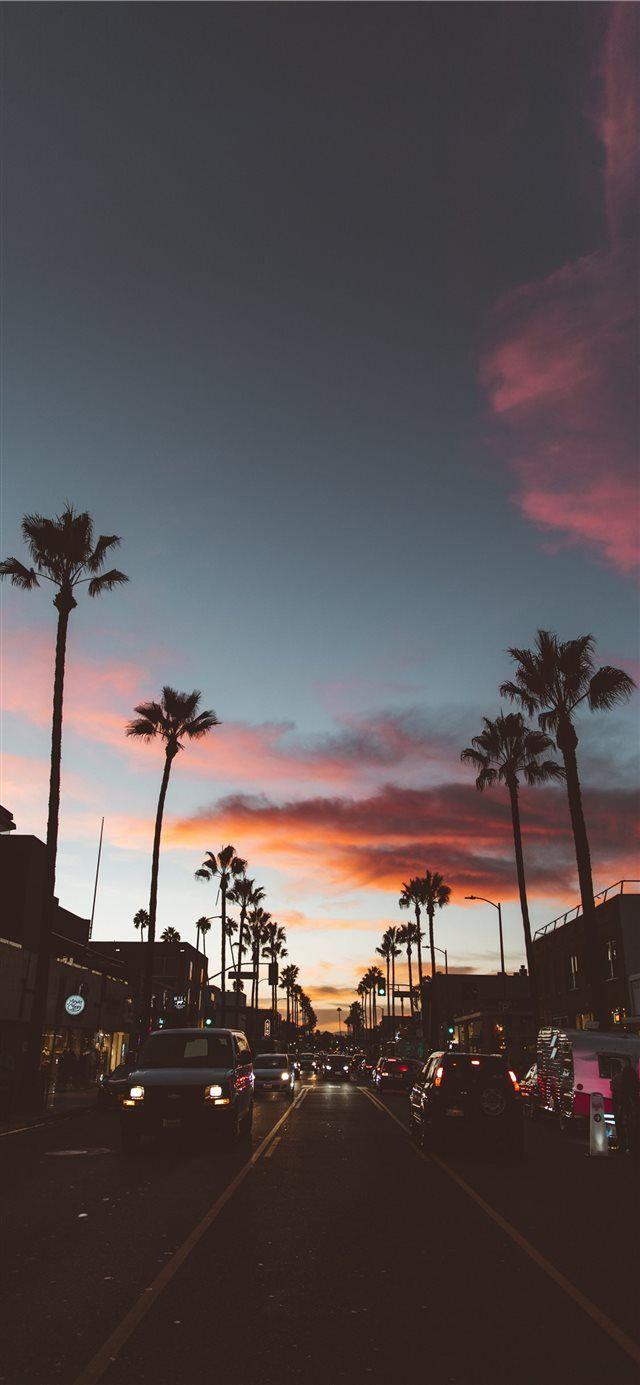 Abbot Kinney iPhone X wallpaper #la #Urban #palmtree