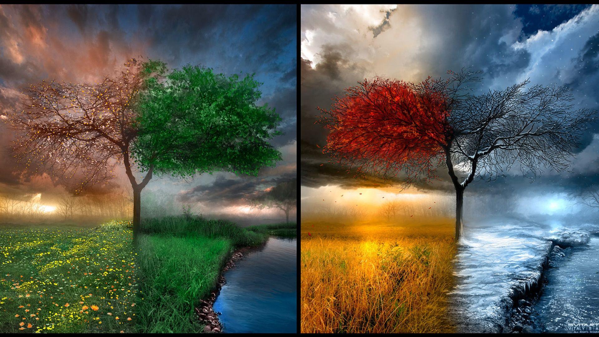 Four Seasons Nature Windows 8 Wallpaper #Windows8 #landscape #Wallpaper. Art wallpaper, Beautiful nature, Nature wallpaper