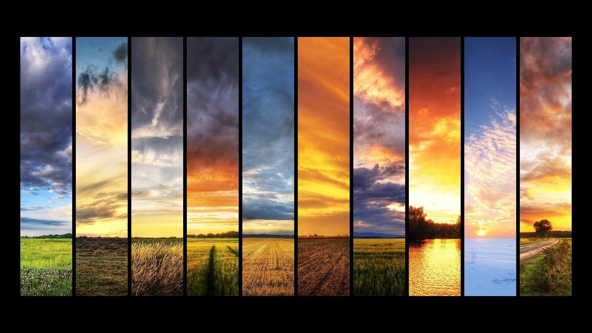 Four Seasons Wallpaper