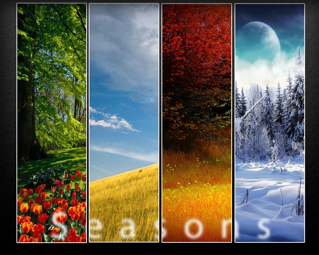 Seasons Wallpaper 1280x1024 px, VR6