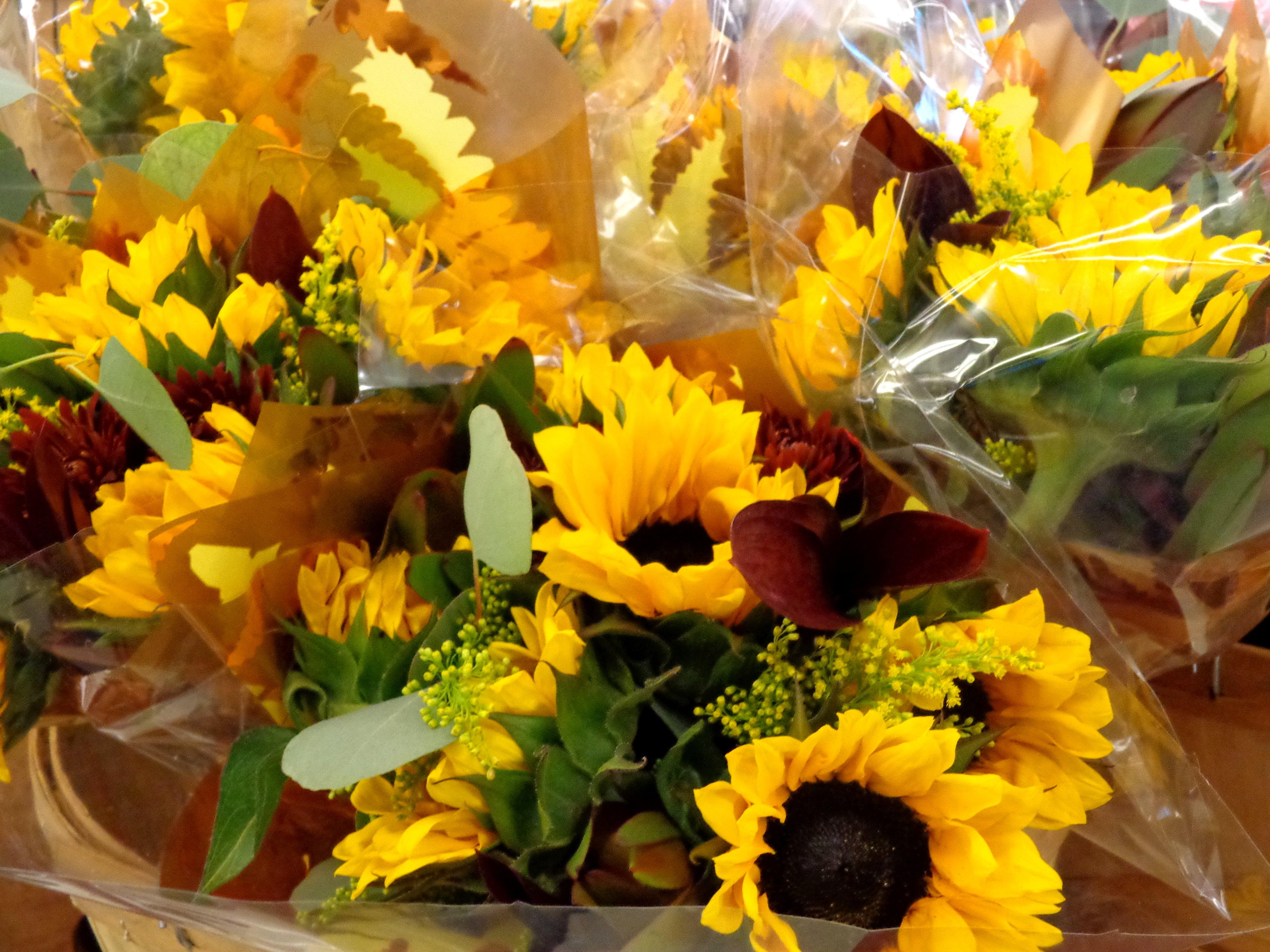Unique Fall Flower Image Free. Top Collection of different